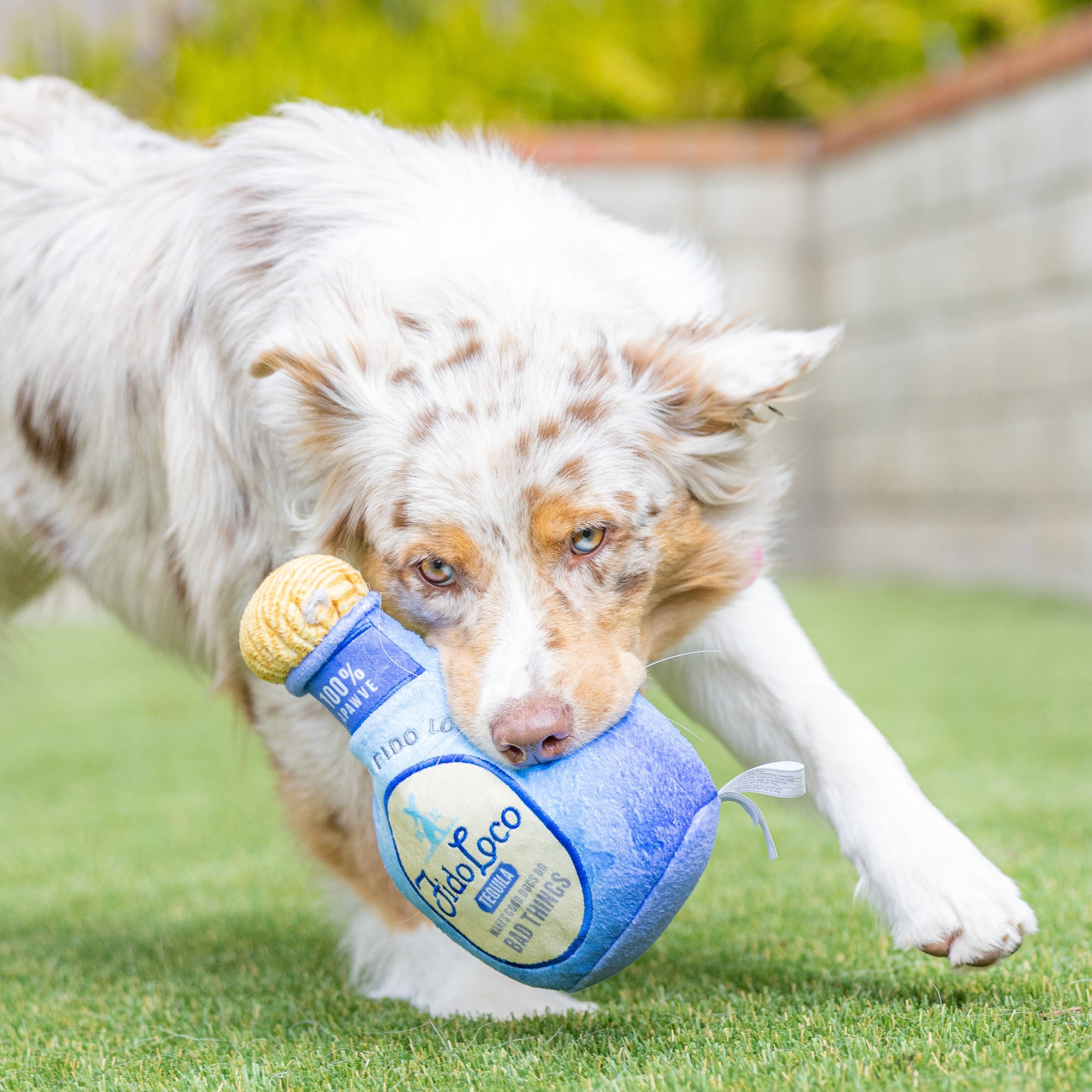 Huxley & Kent - Fido Loco Tequila Dog Toy: Small