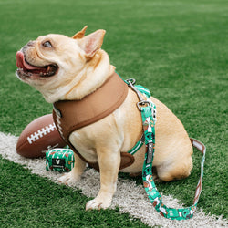 Frenchie - Frenchie Duo Reversible Harness - Touchdown: Medium