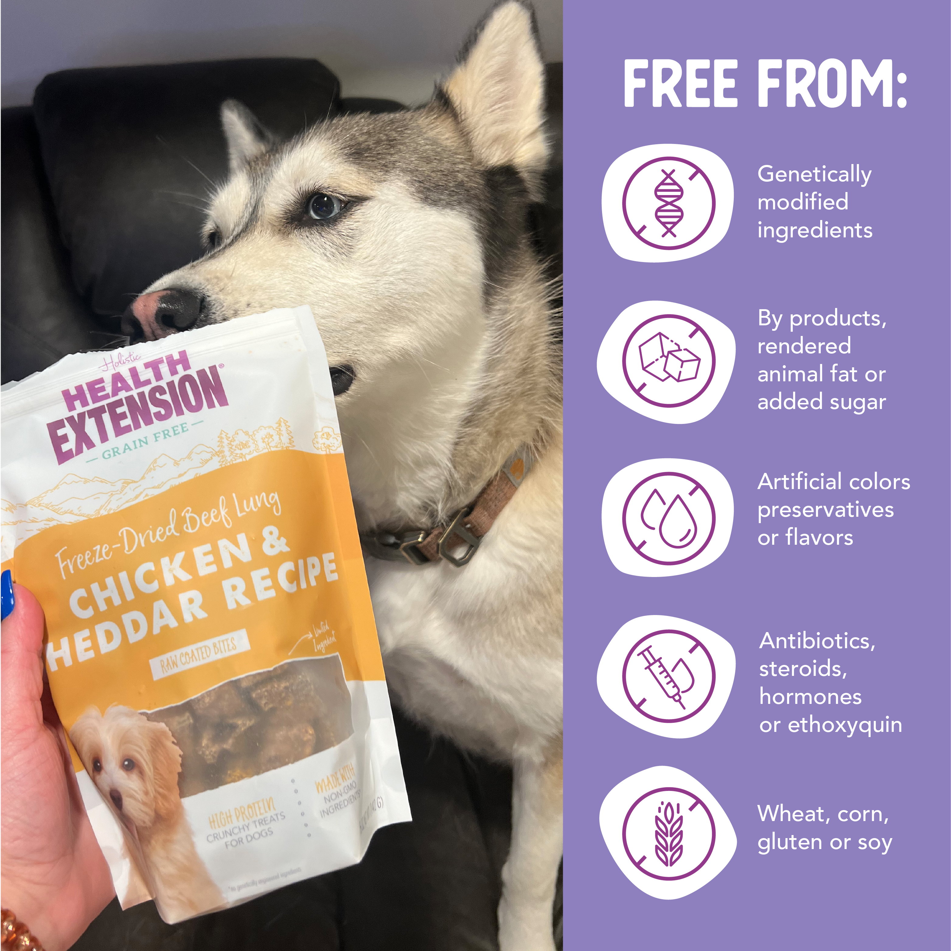 Health Extension Pet Care - Freeze Dried Chicken & Cheddar Bully Puffs: 5-ounces