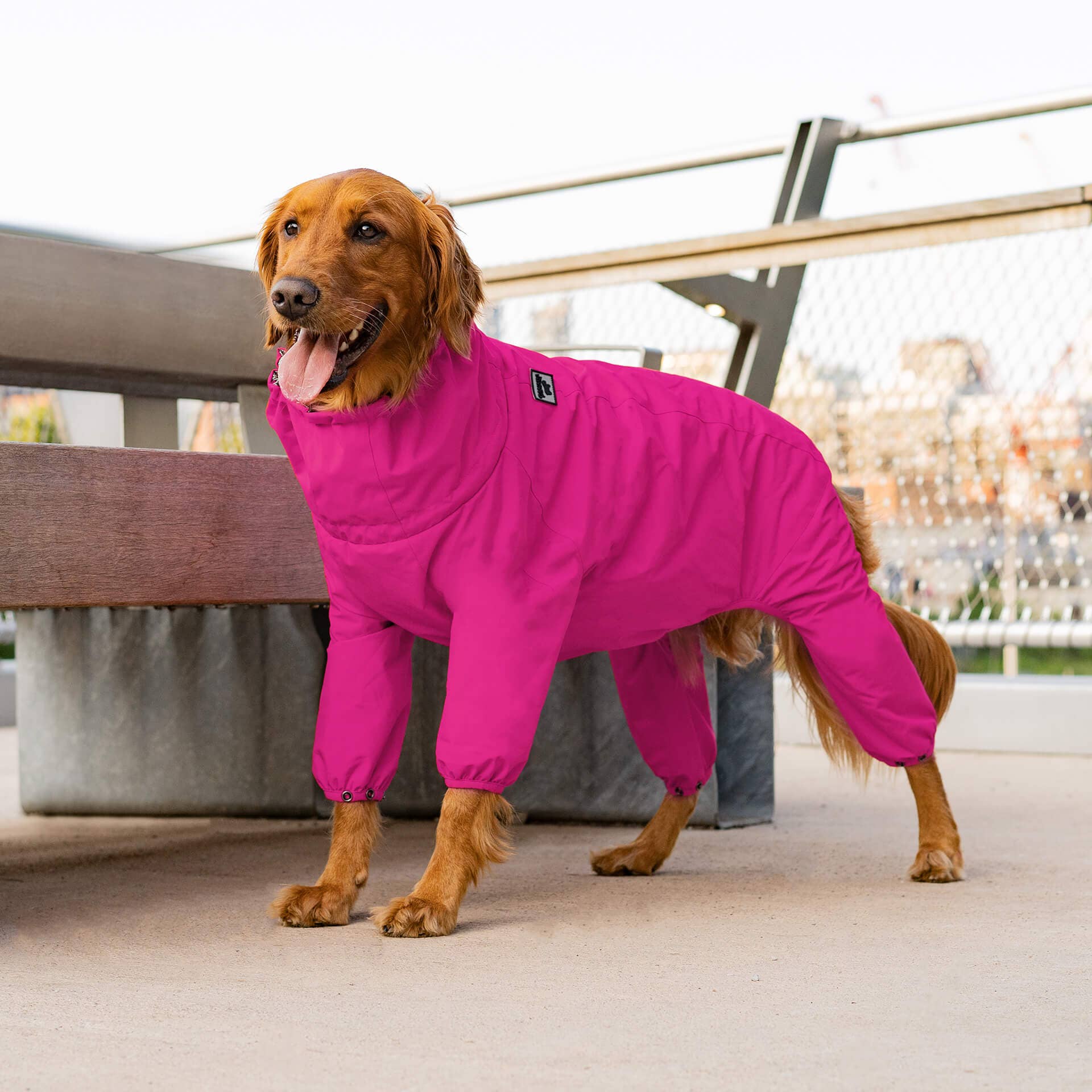 Canada Pooch - The Snow Suit- Dog Suit: Black / 14