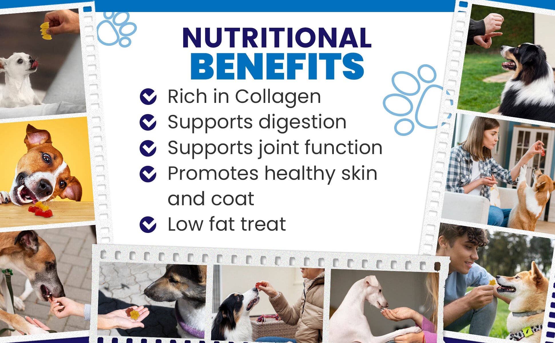 SodaPup Dog Toys - Dogtastic Jelly Shots Silicone Mold - Paw Shape: Jelly Shots Silicone Mold - Paw Shape