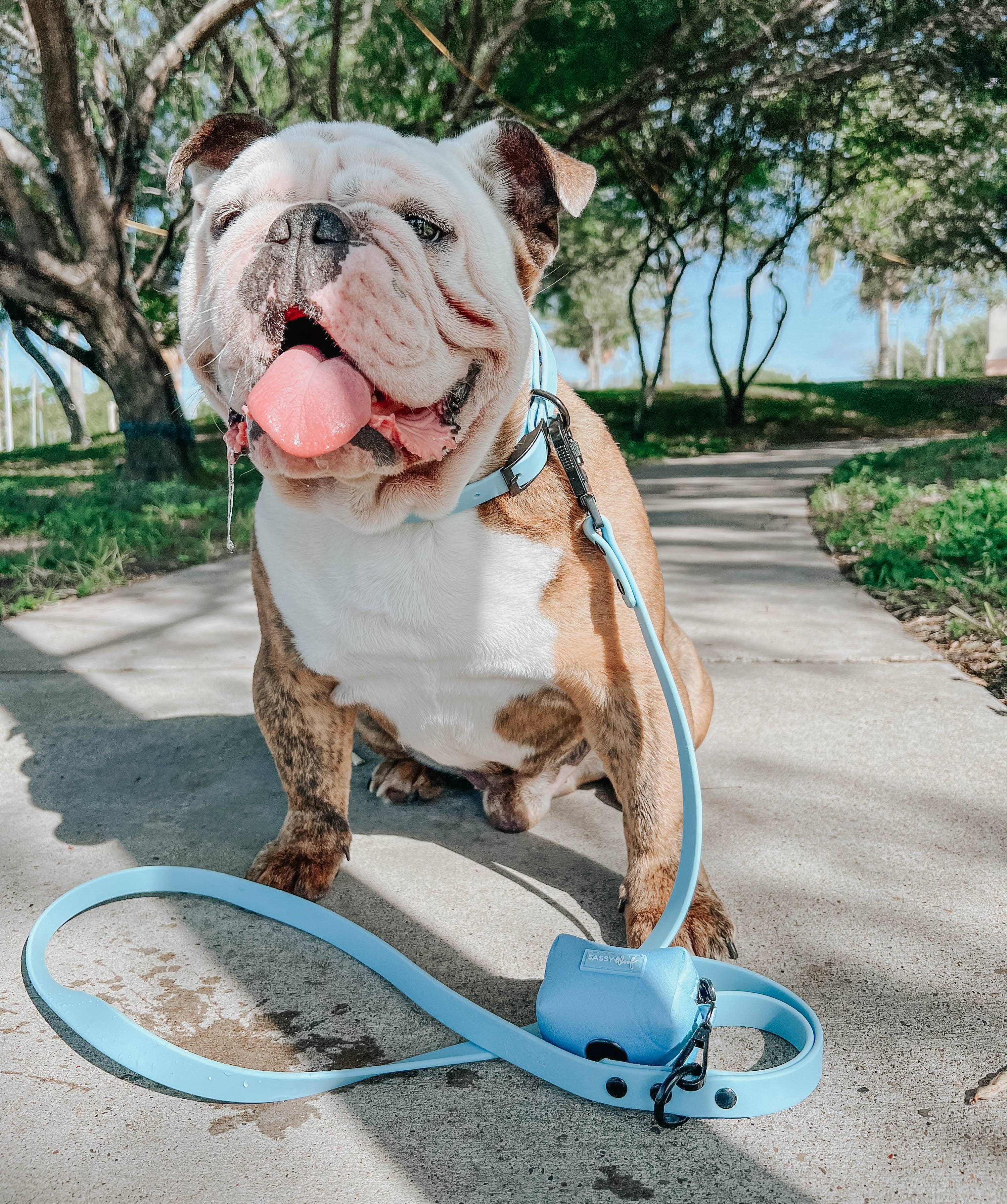 SASSY WOOF - Waterproof Dog Leash - Blue