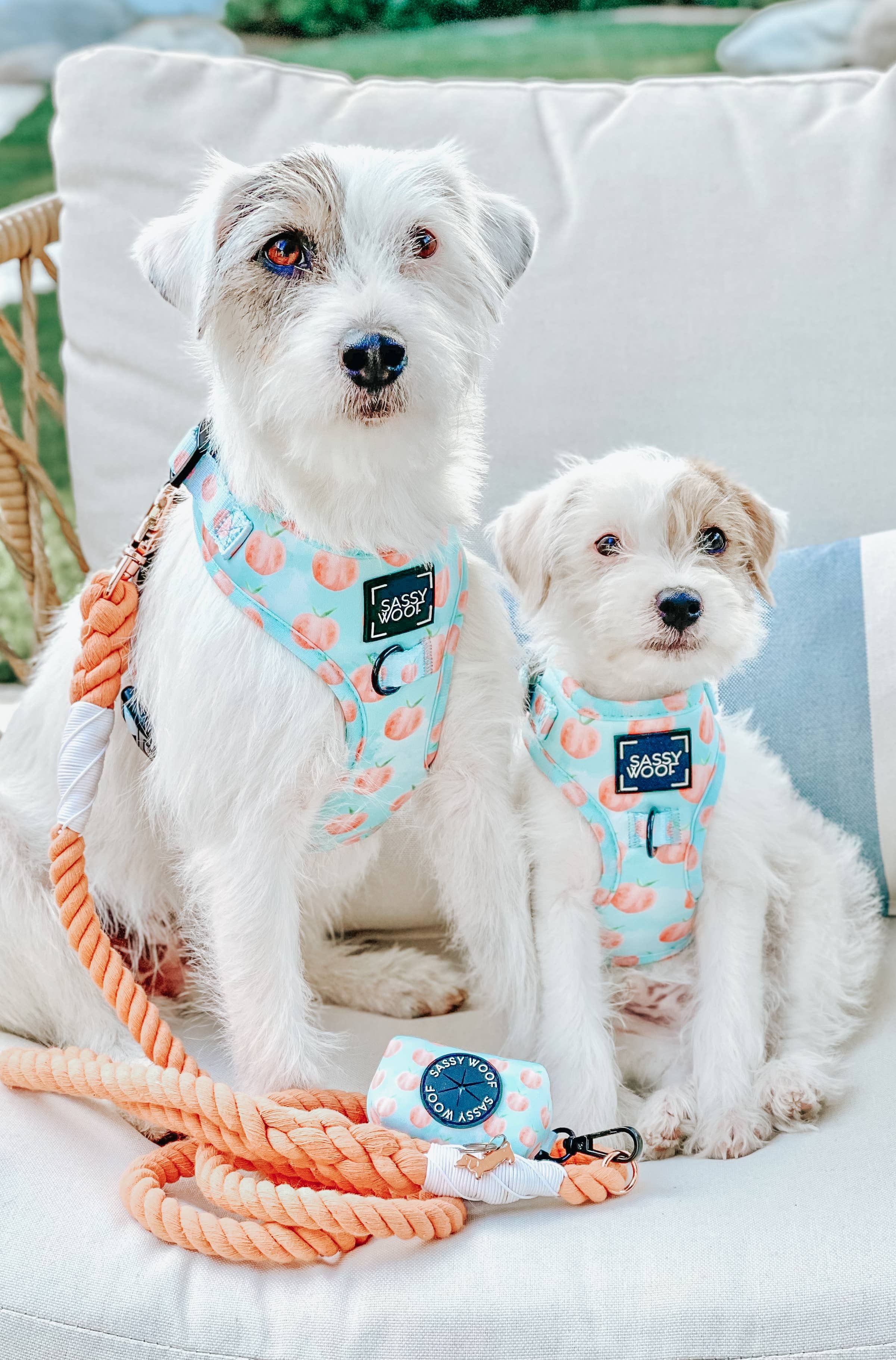 SASSY WOOF - Dog Rope Leash - Clementine