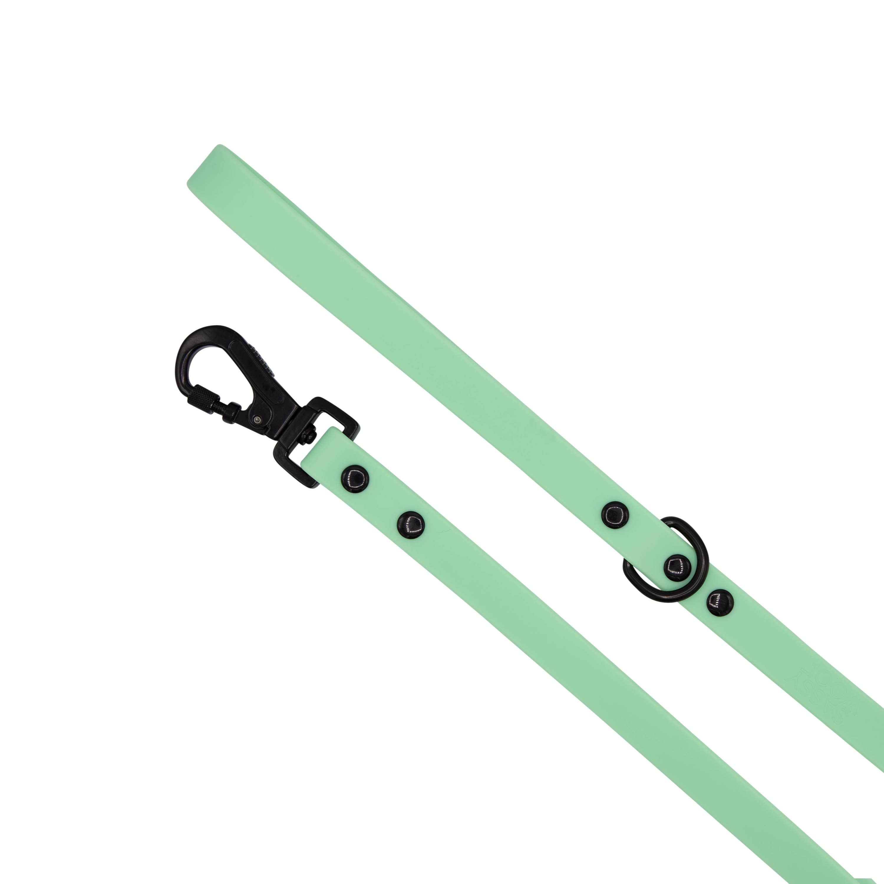 SASSY WOOF - Waterproof Dog Leash - Green
