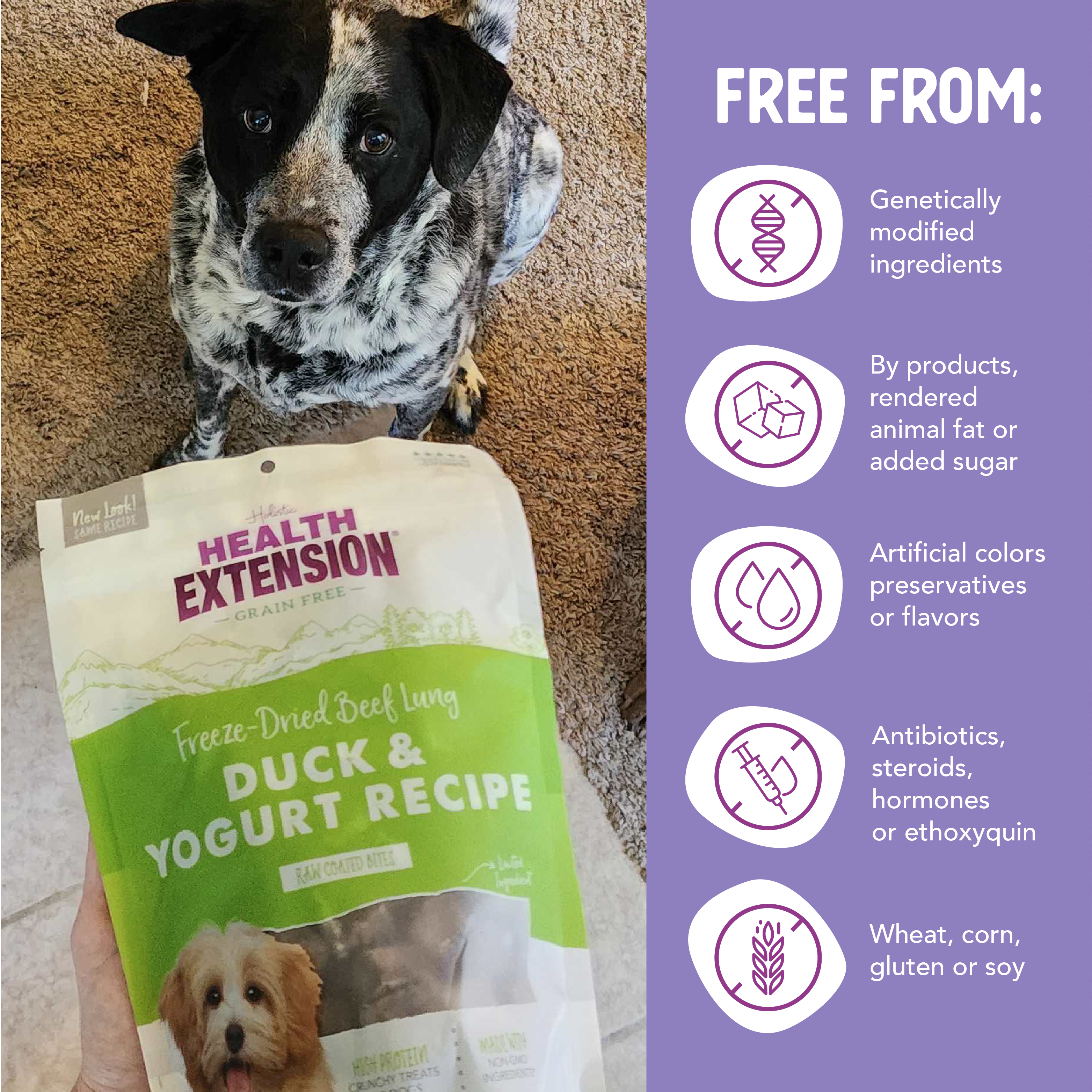 Health Extension Pet Care - Freeze Dried Duck & Yogurt Bully Puffs: 5-ounces