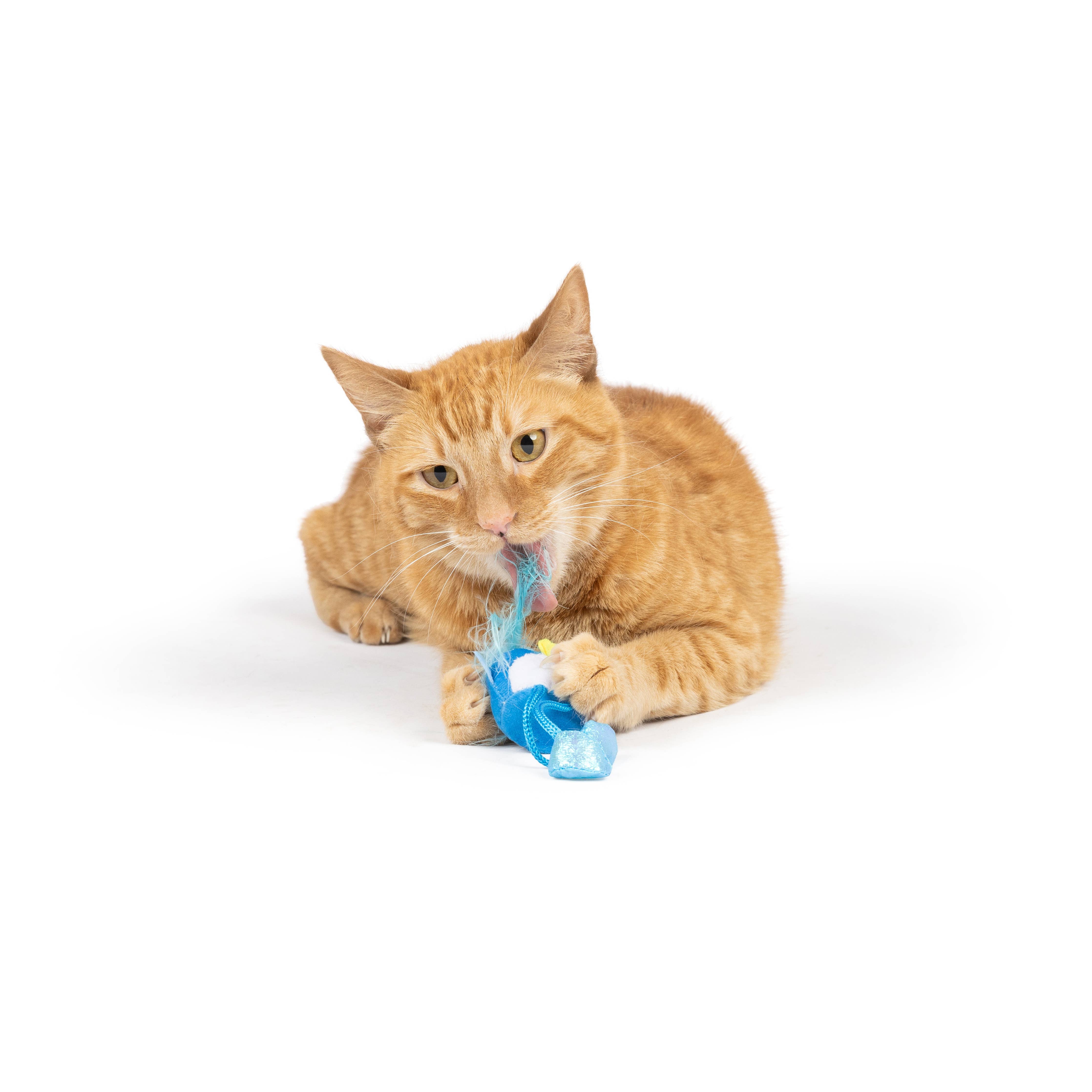 Huxley & Kent - Bluebird Chirpy Cat Toy: One Size