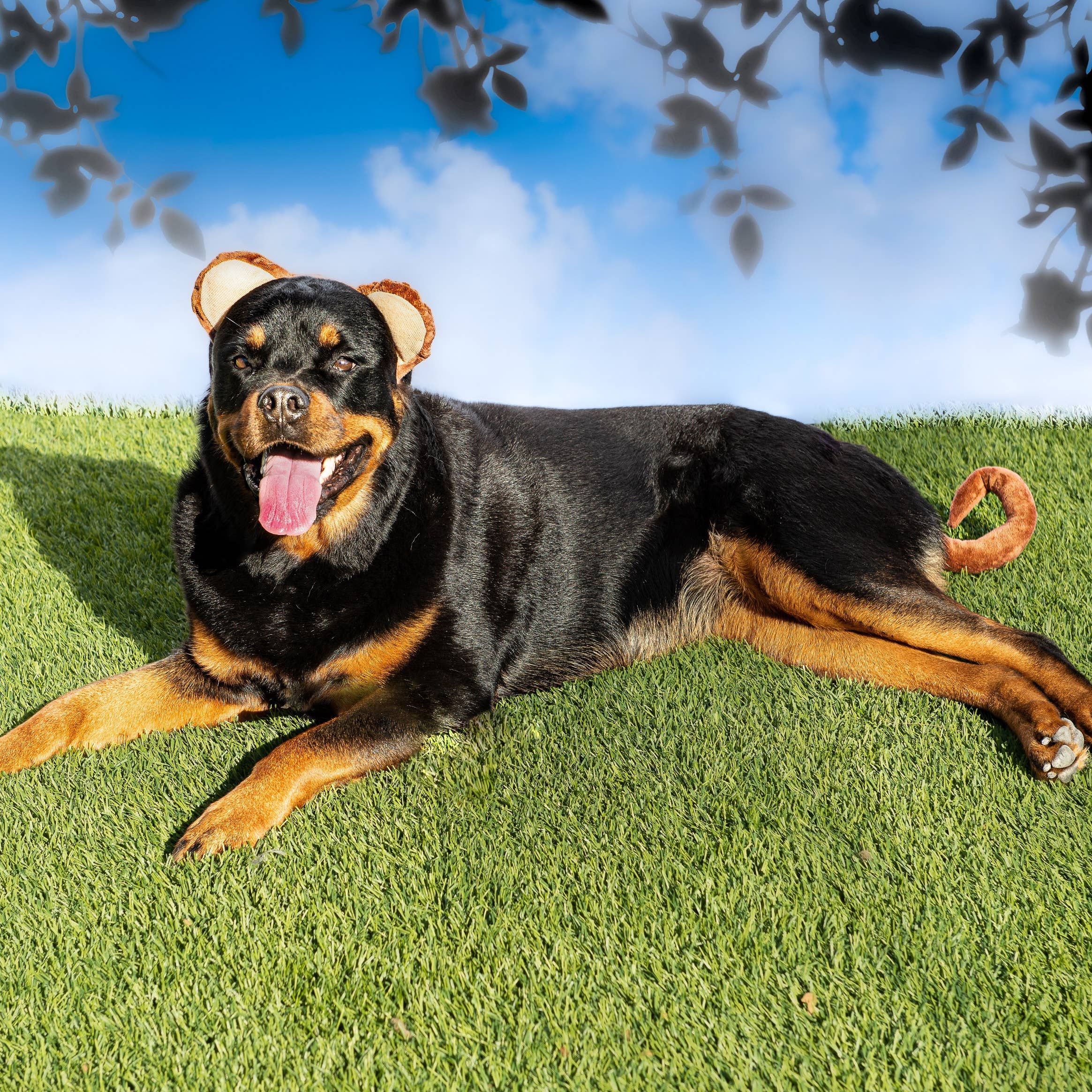 Midlee Designs - Midlee Monkey Headband and Tail Halloween Dog Costume