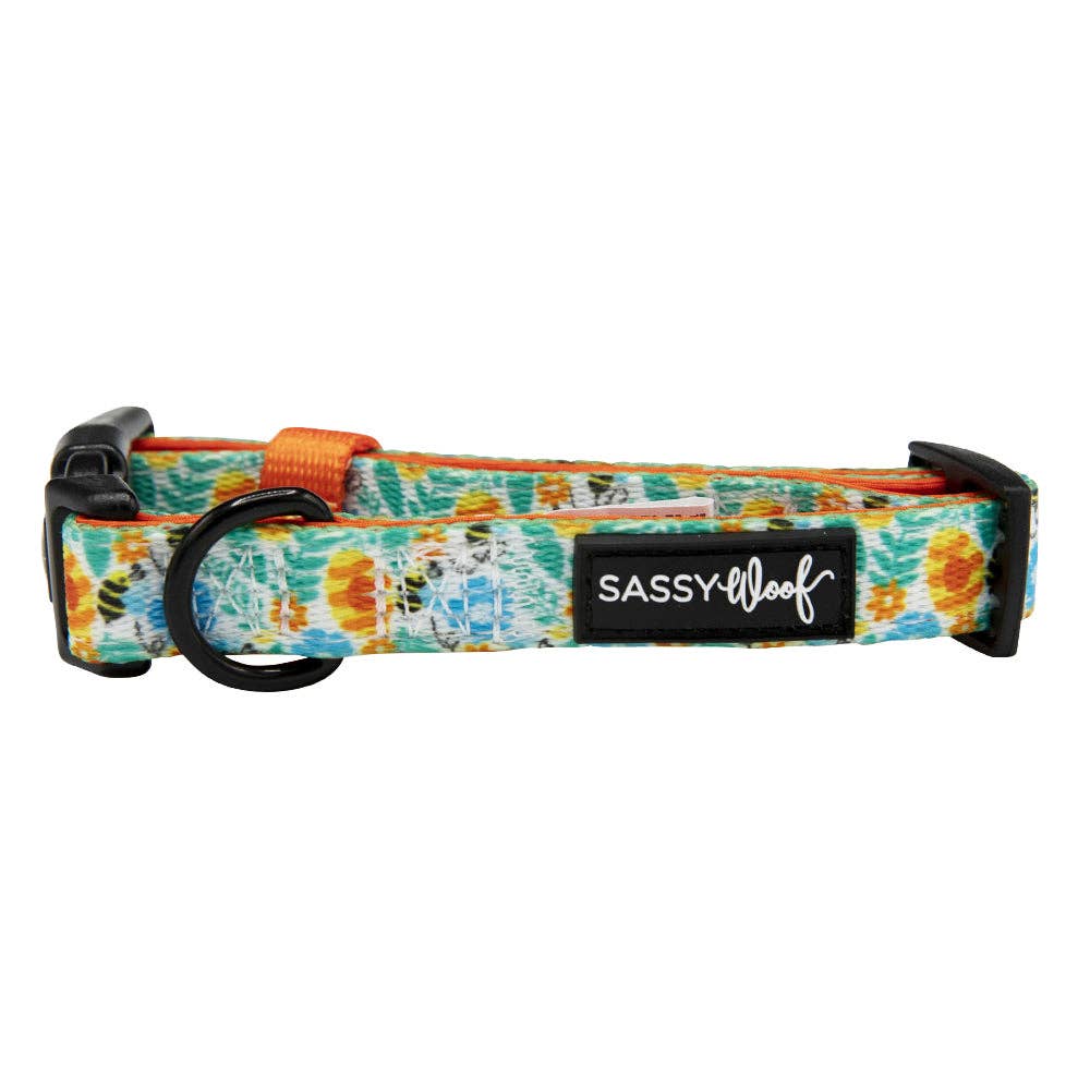 SASSY WOOF - Dog Collar - Must Be the Honey: Large