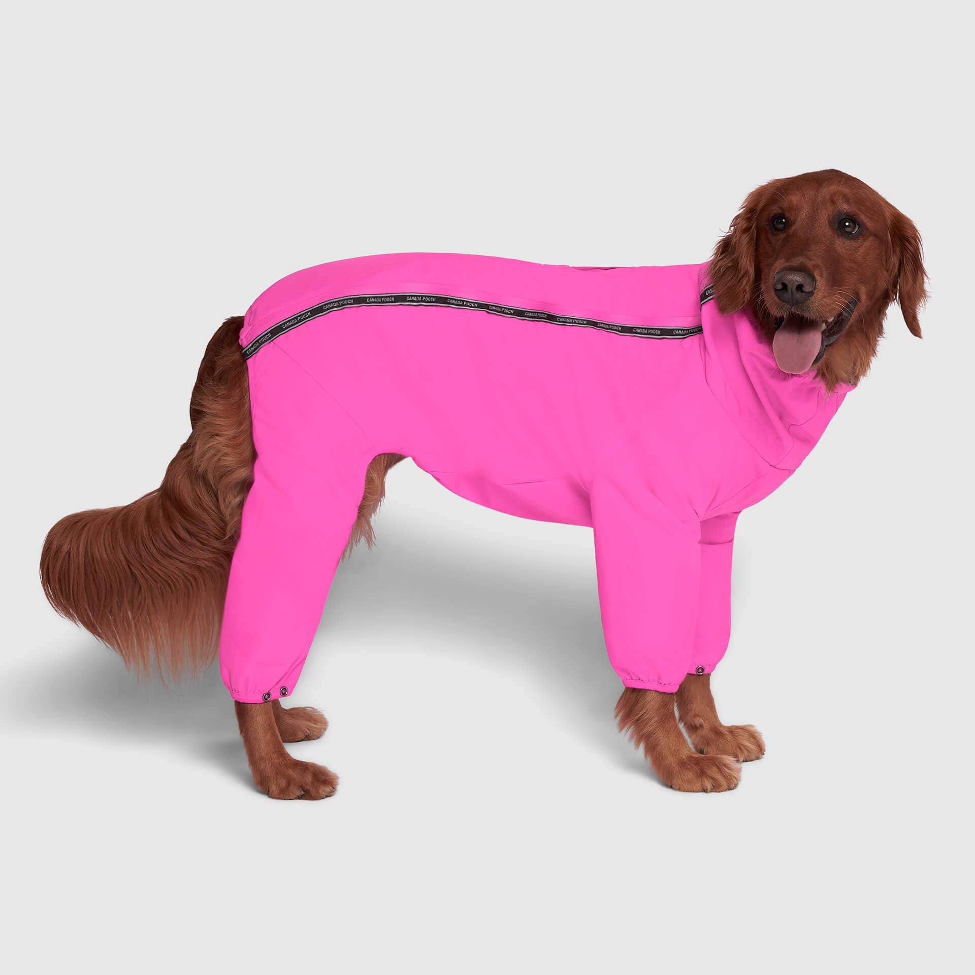 Canada Pooch - The Snow Suit- Dog Suit: Black / 16