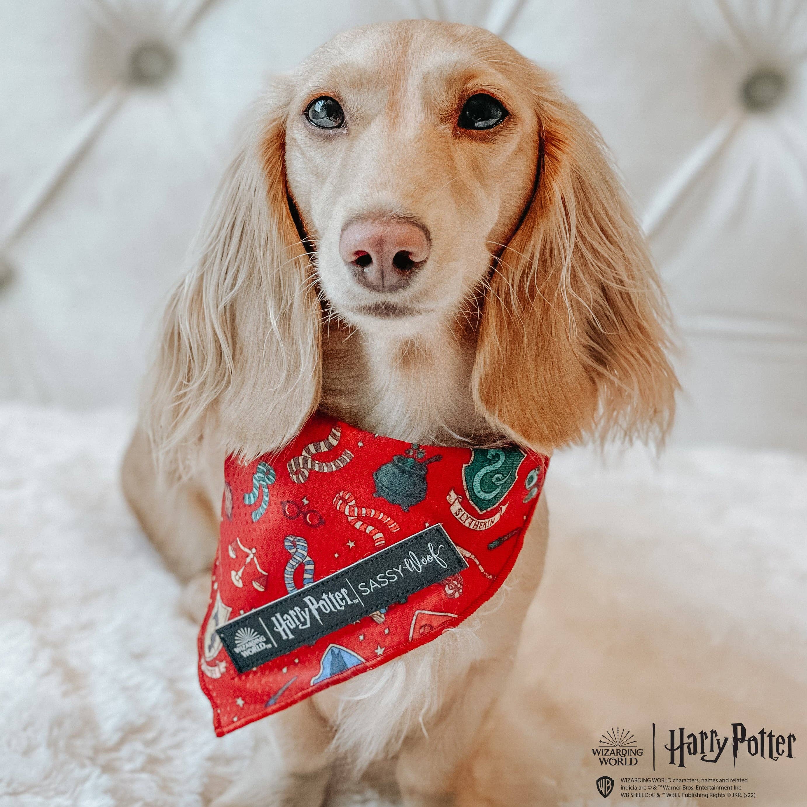 SASSY WOOF - Dog Bandana - Harry Potter™: Medium