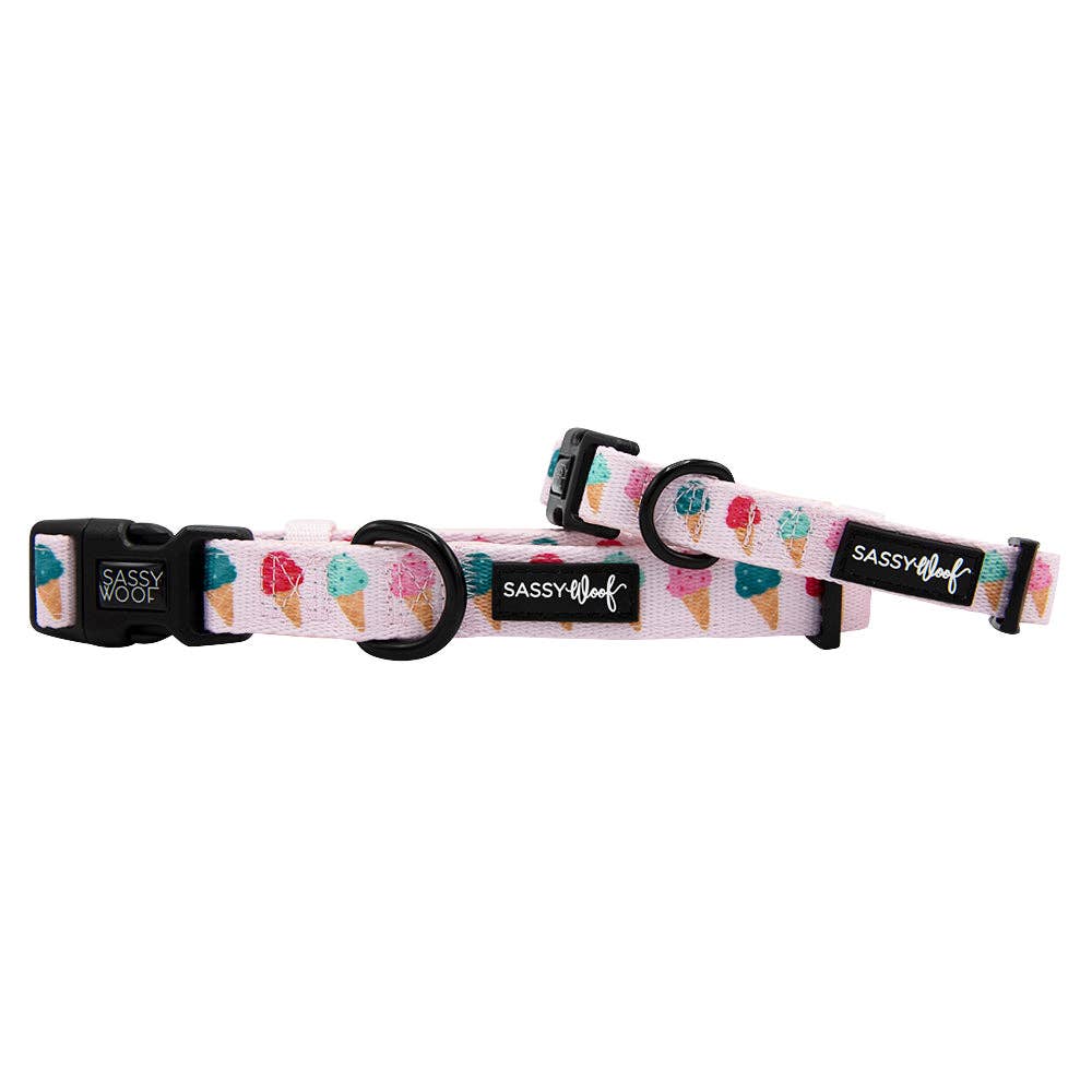 SASSY WOOF - Dog Collar - A Sprinkle of Sass: XSmall