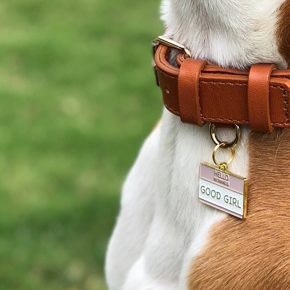 Two Tails Pet Company - Good Girl Pet ID Tag