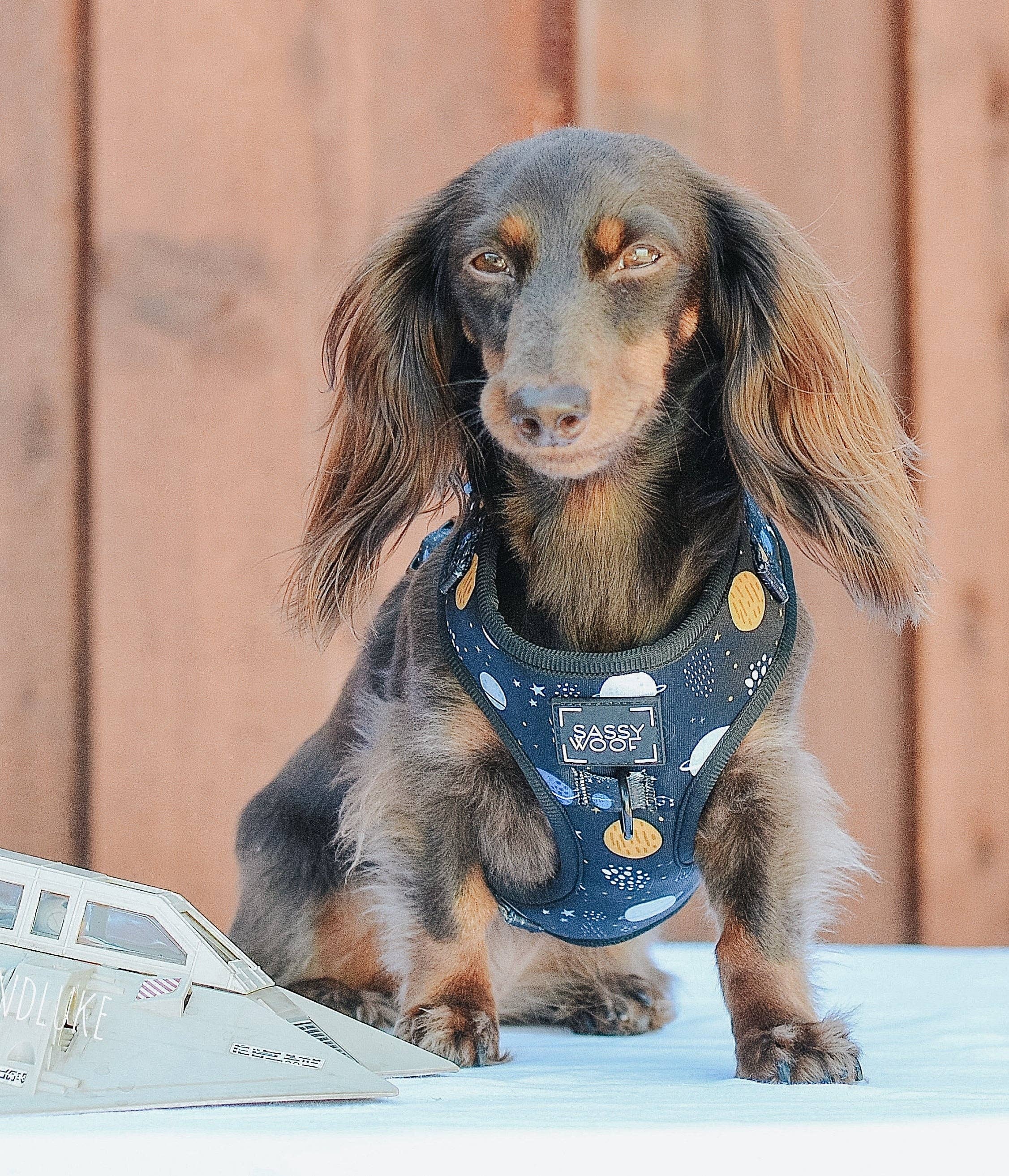 SASSY WOOF - Dog Adjustable Harness - To the Stars and Beyond: Large