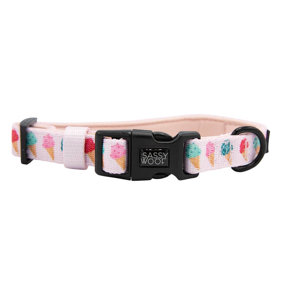 SASSY WOOF - Dog Collar - A Sprinkle of Sass: XSmall