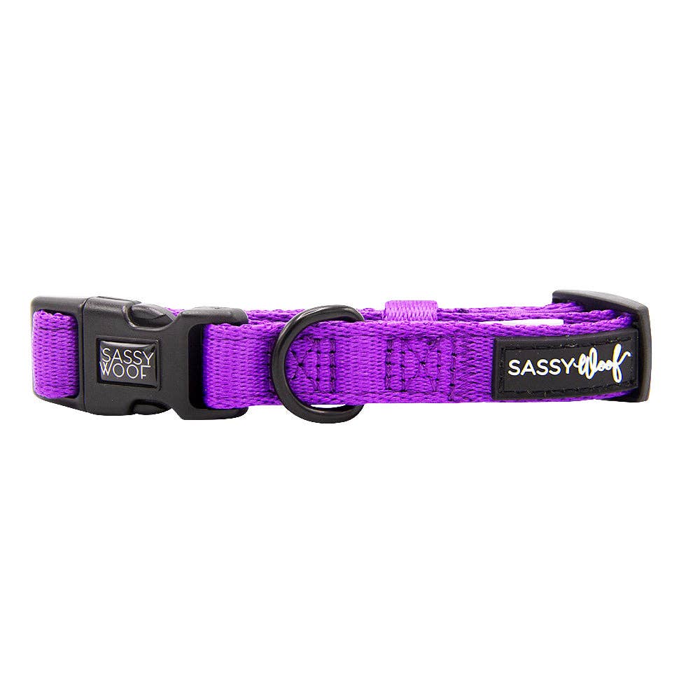 SASSY WOOF - Dog Collar - Neon Purple: Large