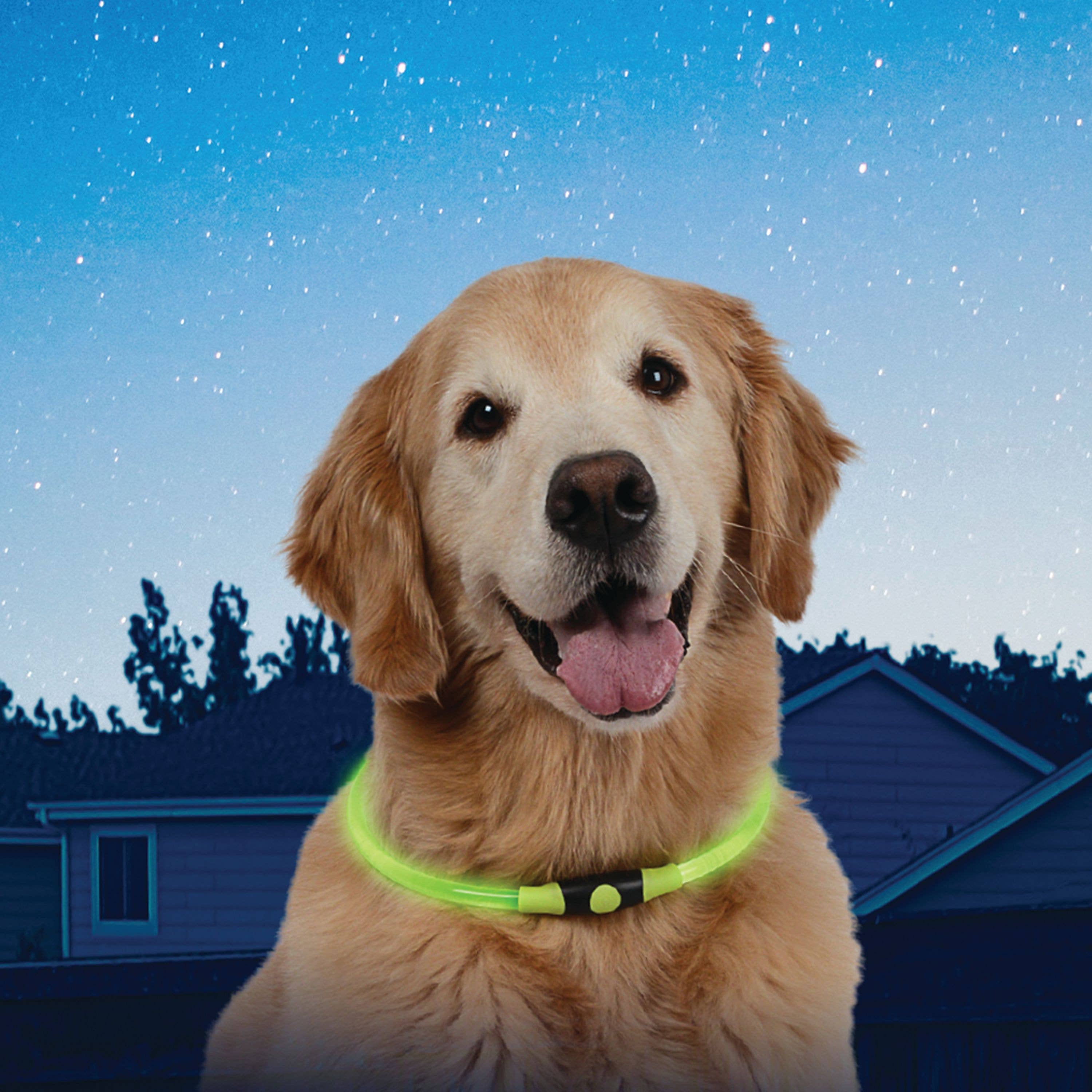 Pet Palette Distribution - Nite Ize NiteHowl LED Safety Necklace - Green