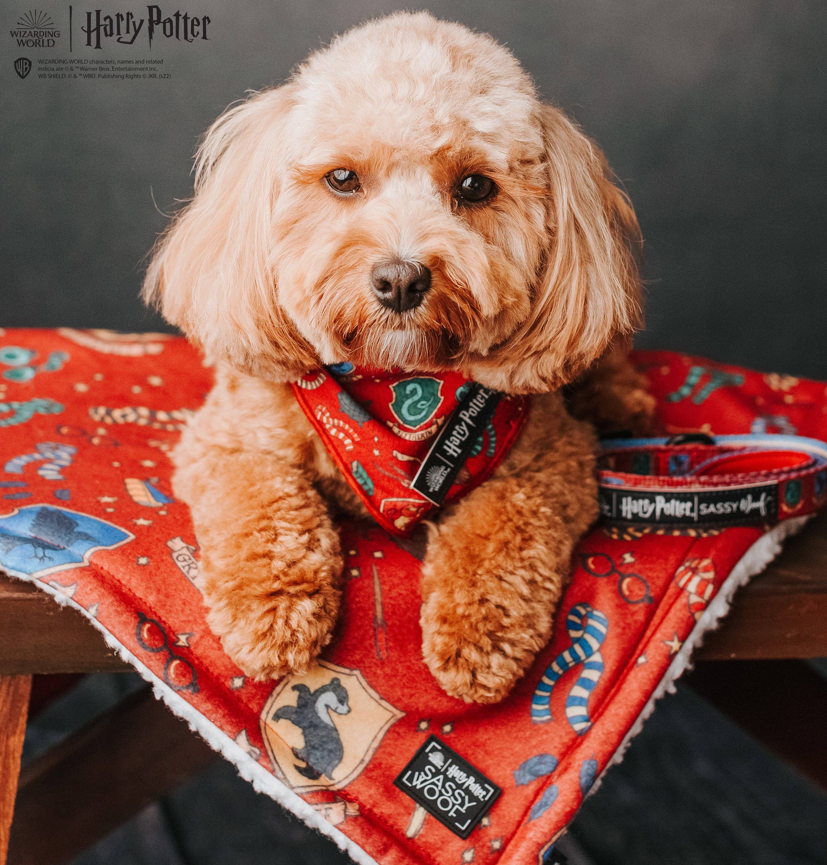 SASSY WOOF - Dog Bandana - Harry Potter™: Medium