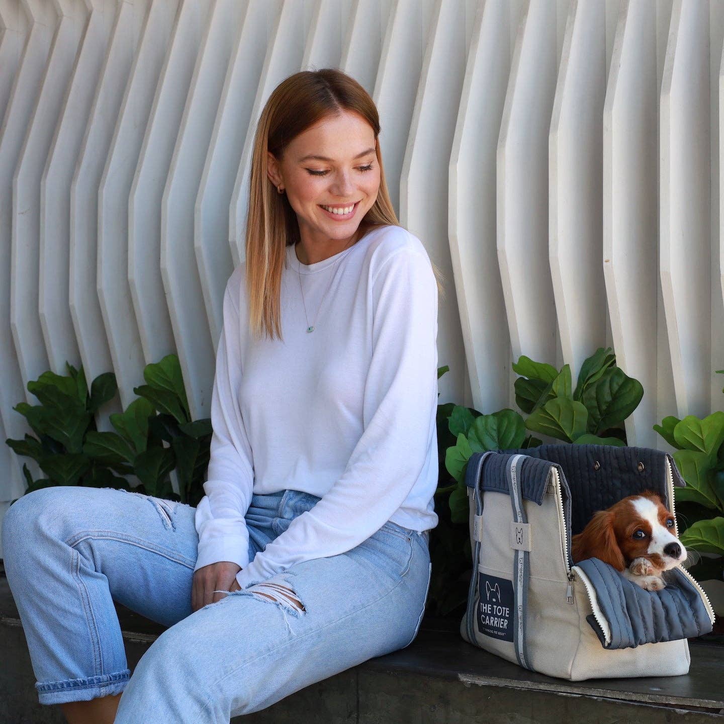 Nandog Pet Gear - The Tote Dog Carrier