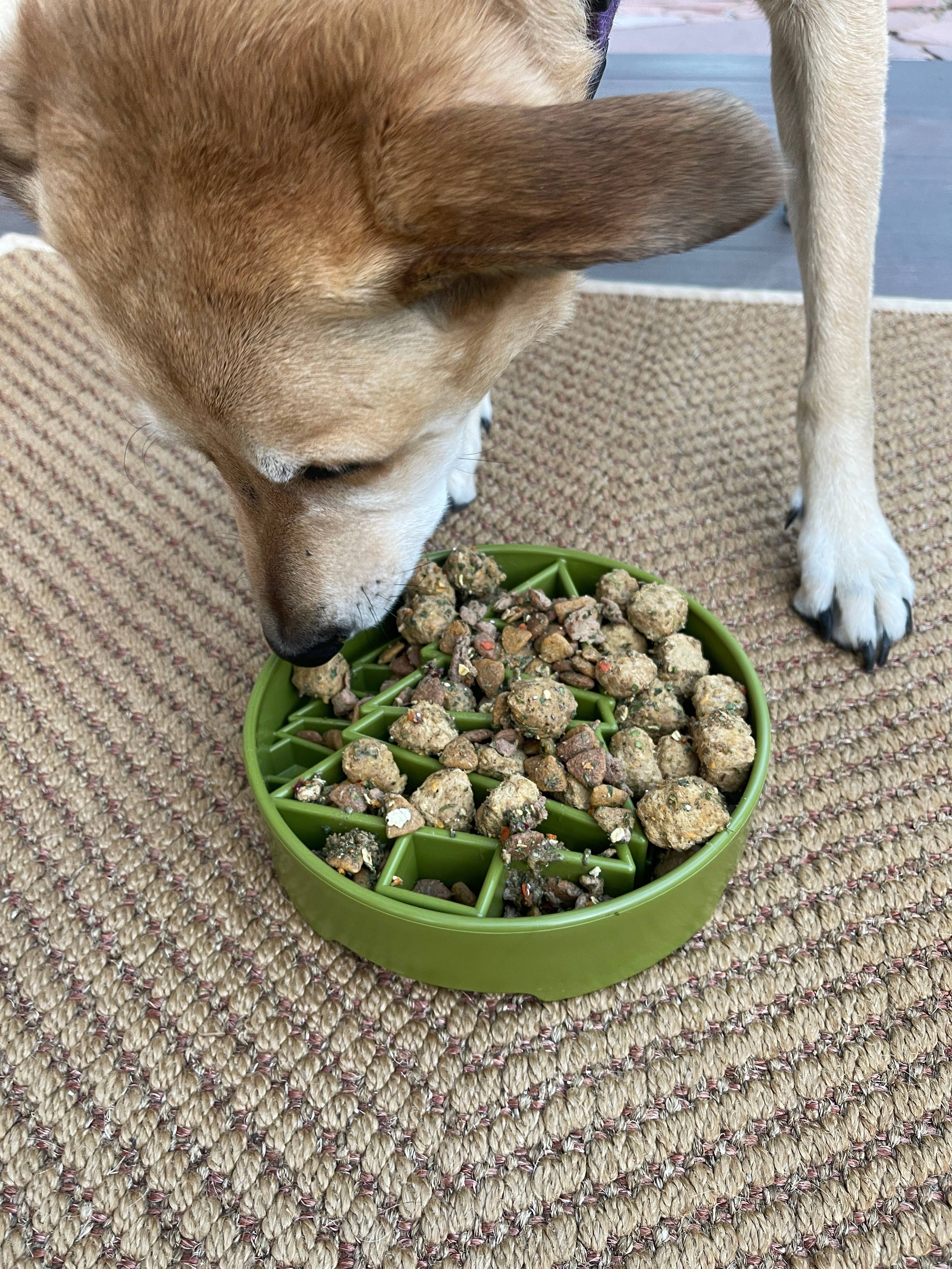 SodaPup Dog Toys - Pine Tree Design eBowl Enrichment Slow Feeder Bowl for Dogs: Trees ebowl - Green