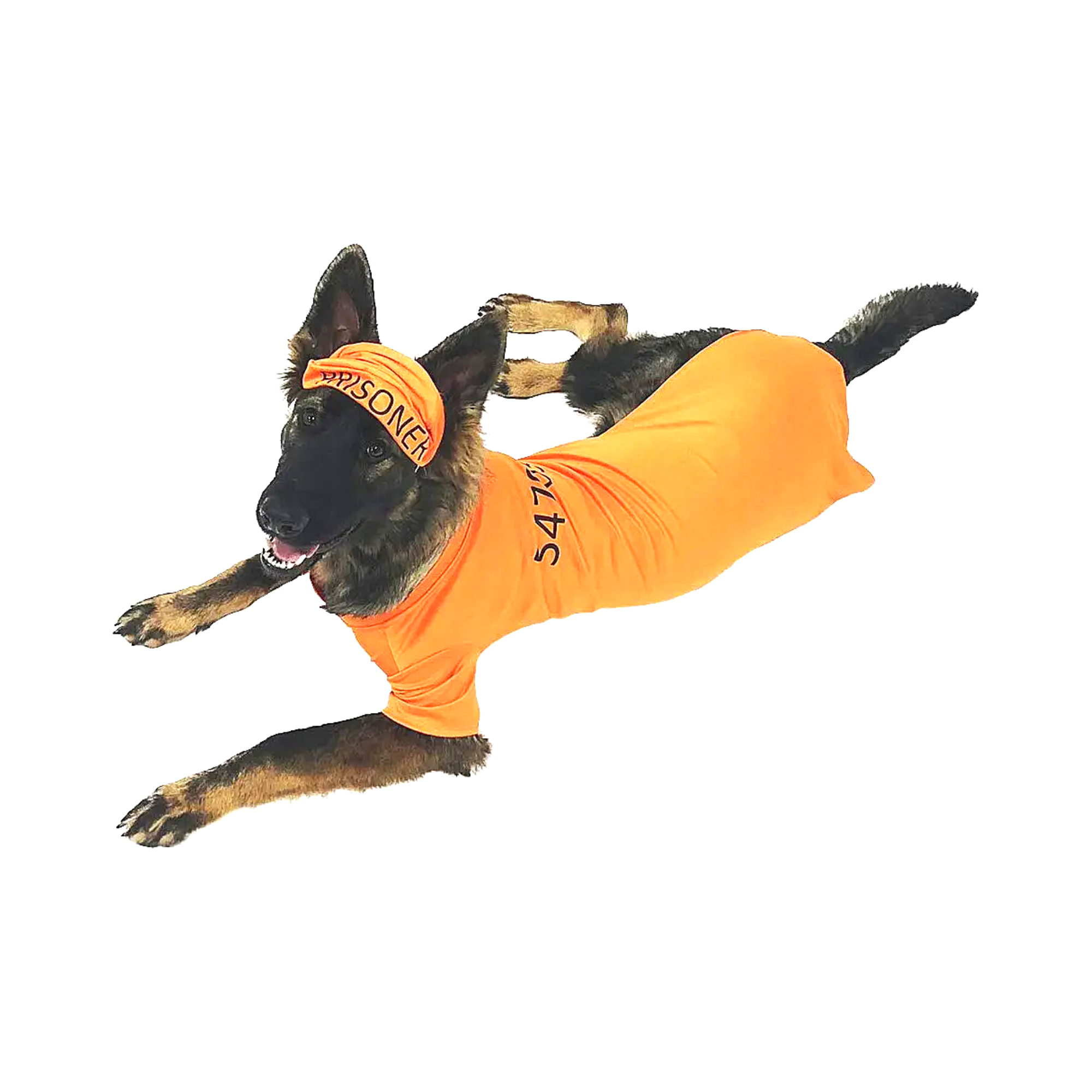 Midlee Designs - Midlee Orange Prisoner Costume: X-Large