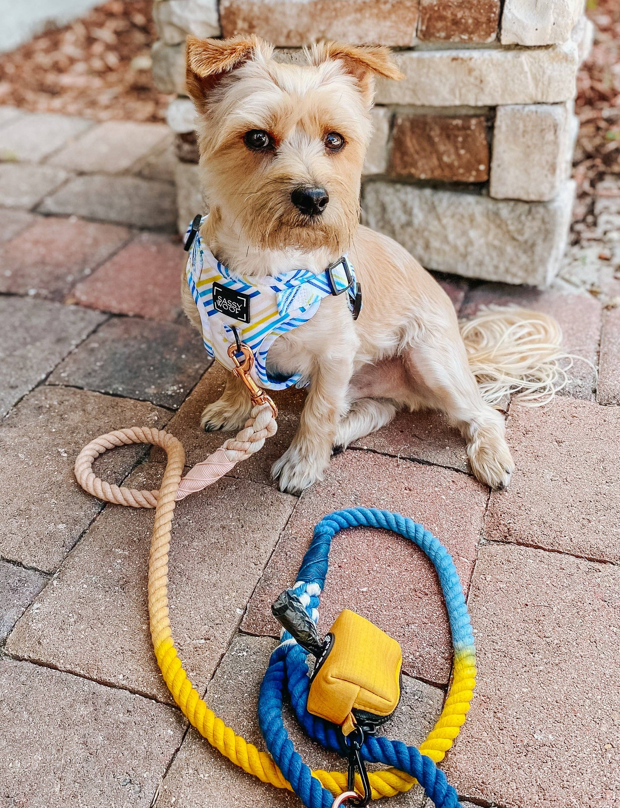 SASSY WOOF - Dog Rope Leash - Airy
