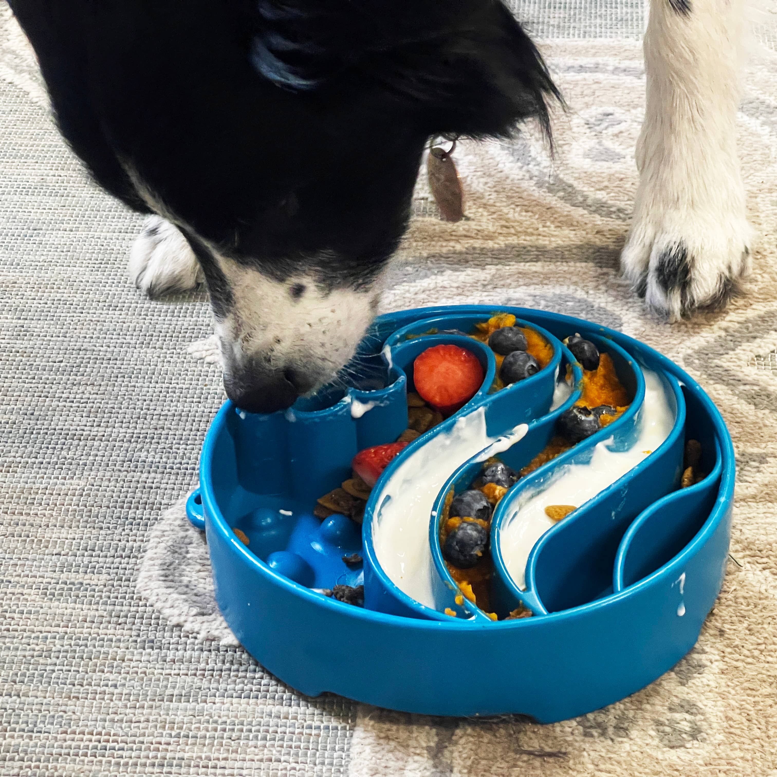 SodaPup Dog Toys - Wave Design eBowl Enrichment Slow Feeder Bowl for Dogs