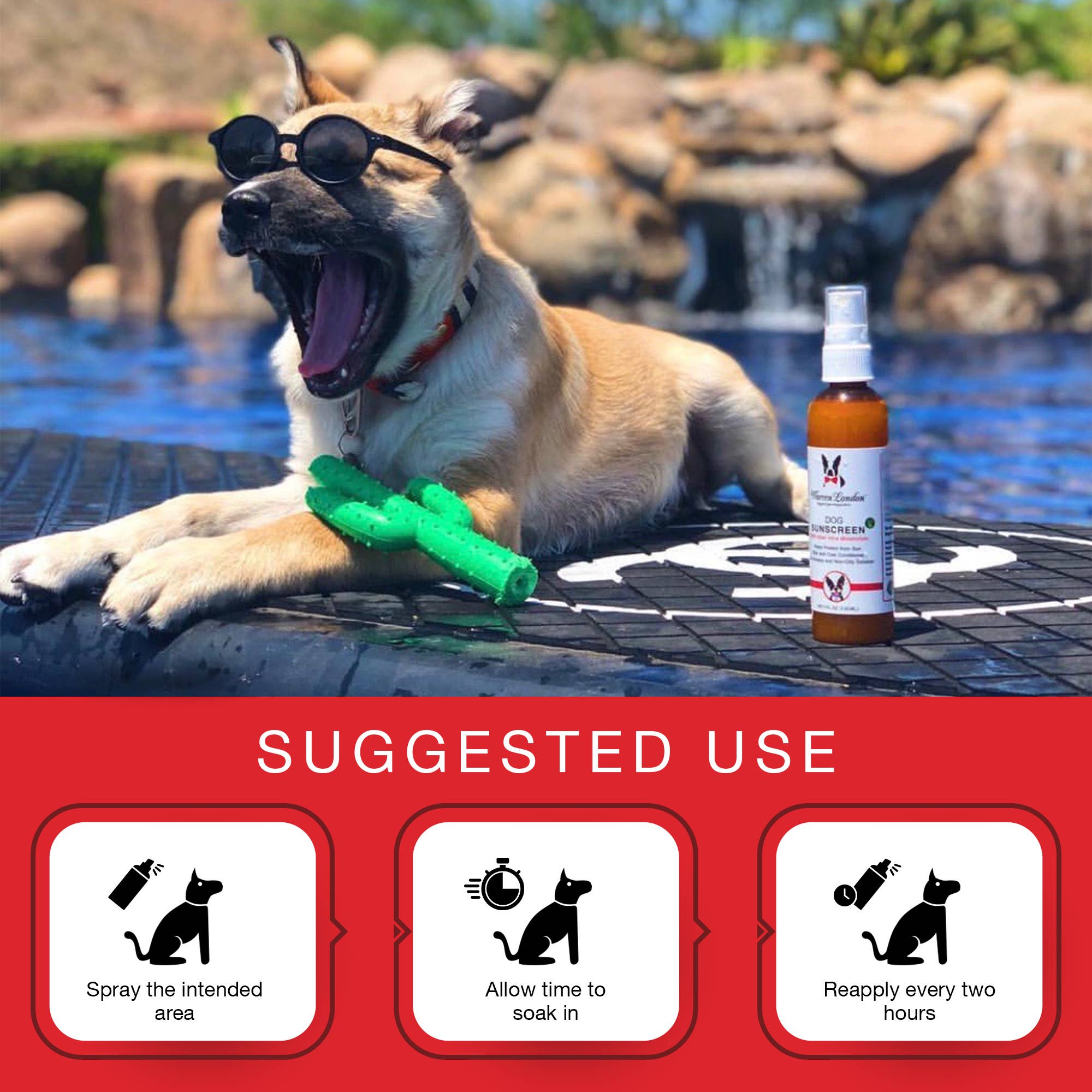 Dog Sunscreen - 4 oz