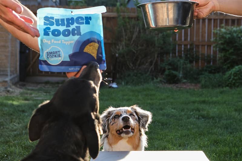 Superfood Dog Food Topper