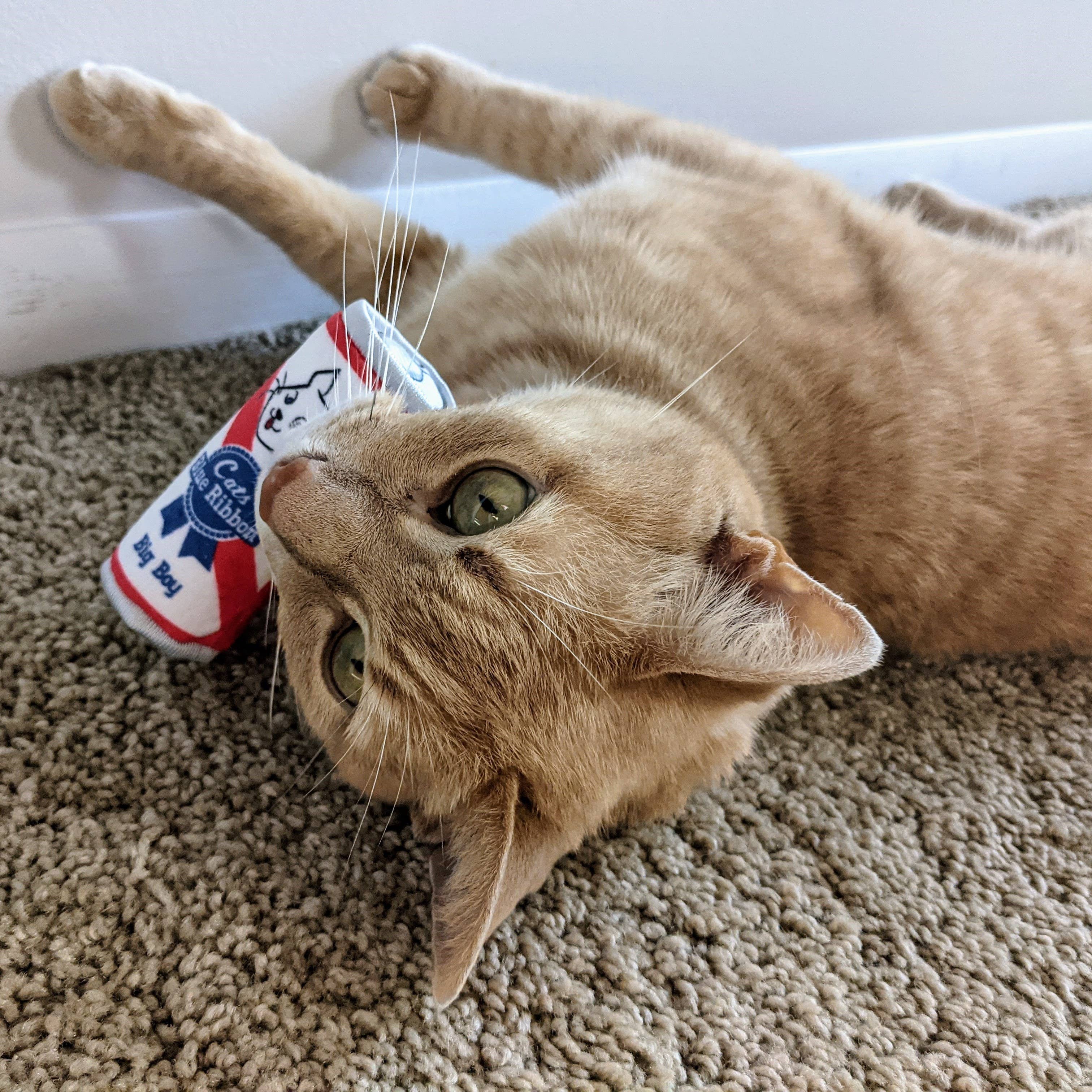 Huxley & Kent - Cats Blue Ribbon for Cats