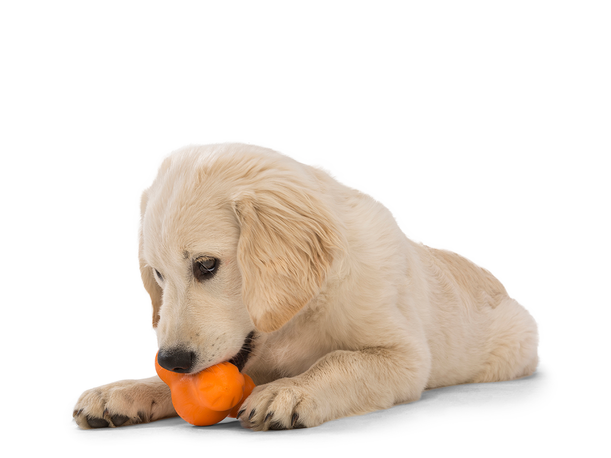 West Paw Tux® Puzzle Treat-Dispensing Slow Feeder Dog Toy Small orange