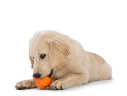 West Paw Tux® Puzzle Treat-Dispensing Slow Feeder Dog Toy Small orange