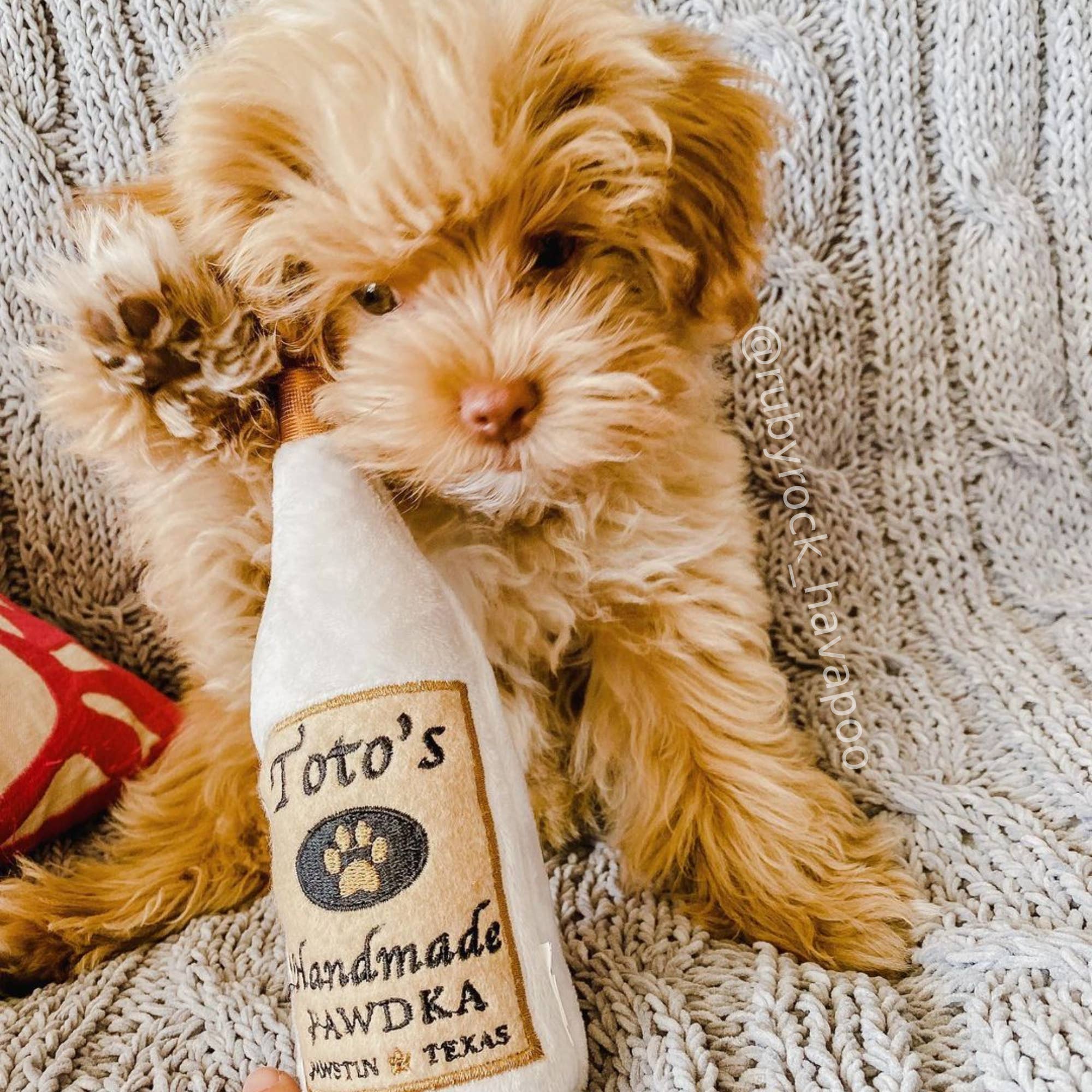 Huxley & Kent - Toto's Pawdka Dog Toy: Small