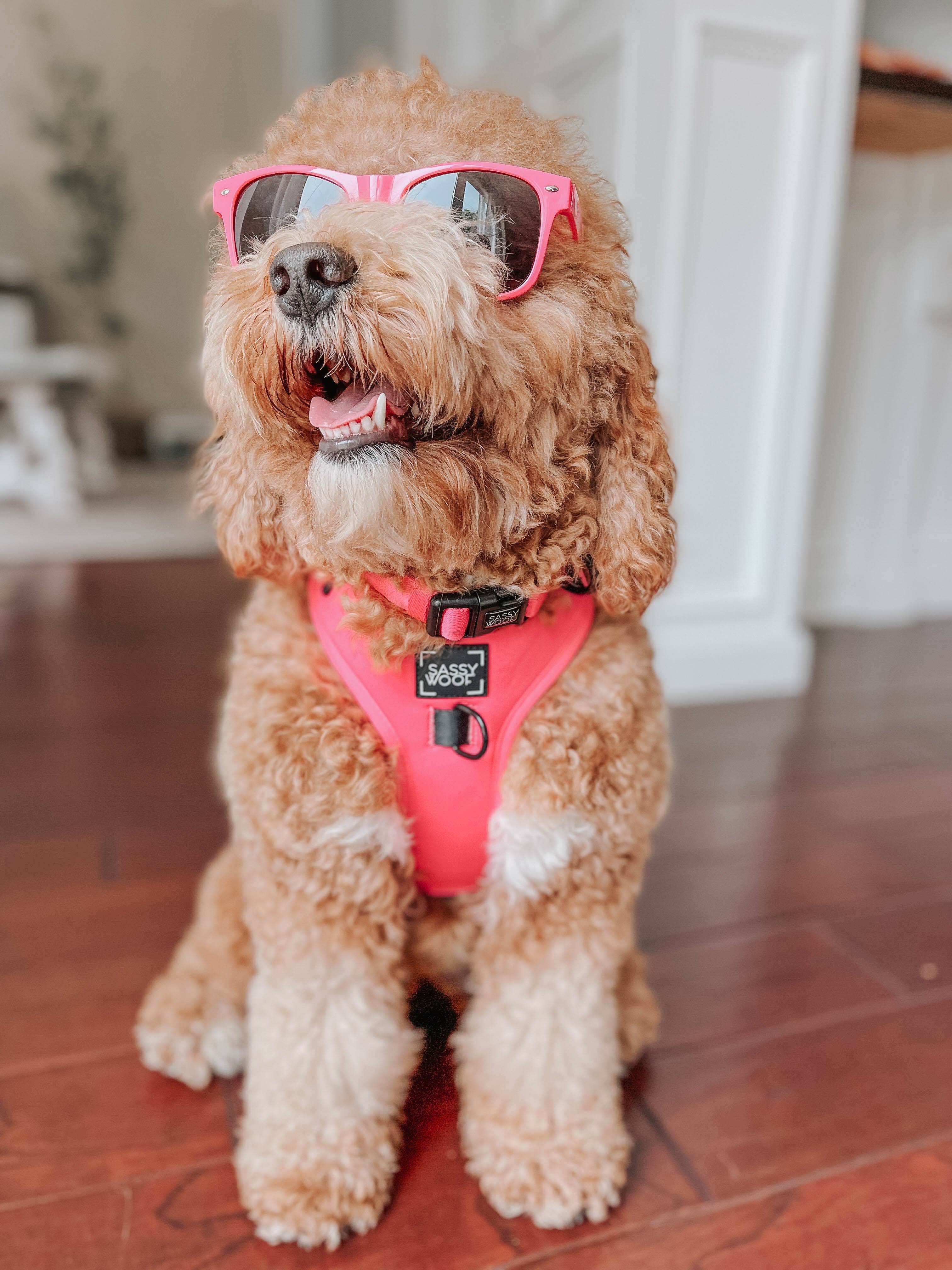 SASSY WOOF - Dog Adjustable Harness - Neon Pink: L