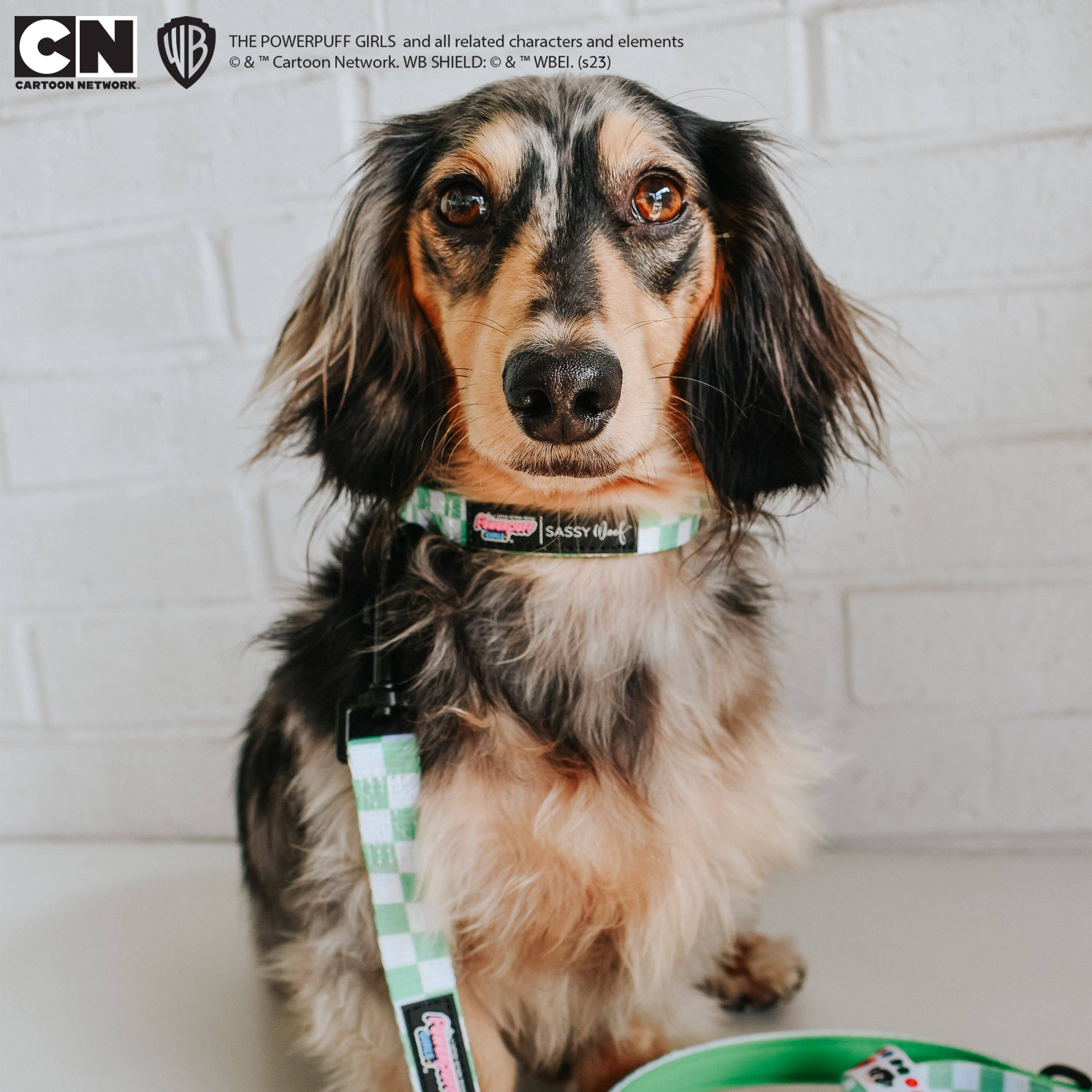 SASSY WOOF - Dog Collar - The Powerpuff Girls™ (Green): Small