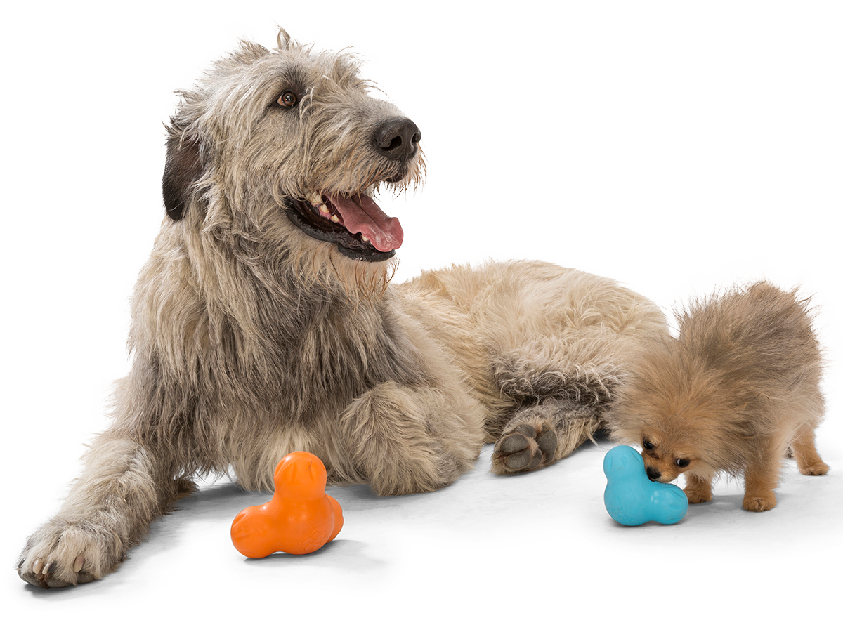 West Paw Tux® Puzzle Treat-Dispensing Slow Feeder Dog Toy: Small Blue