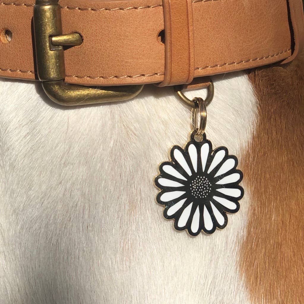 Daisy Pet ID Tag