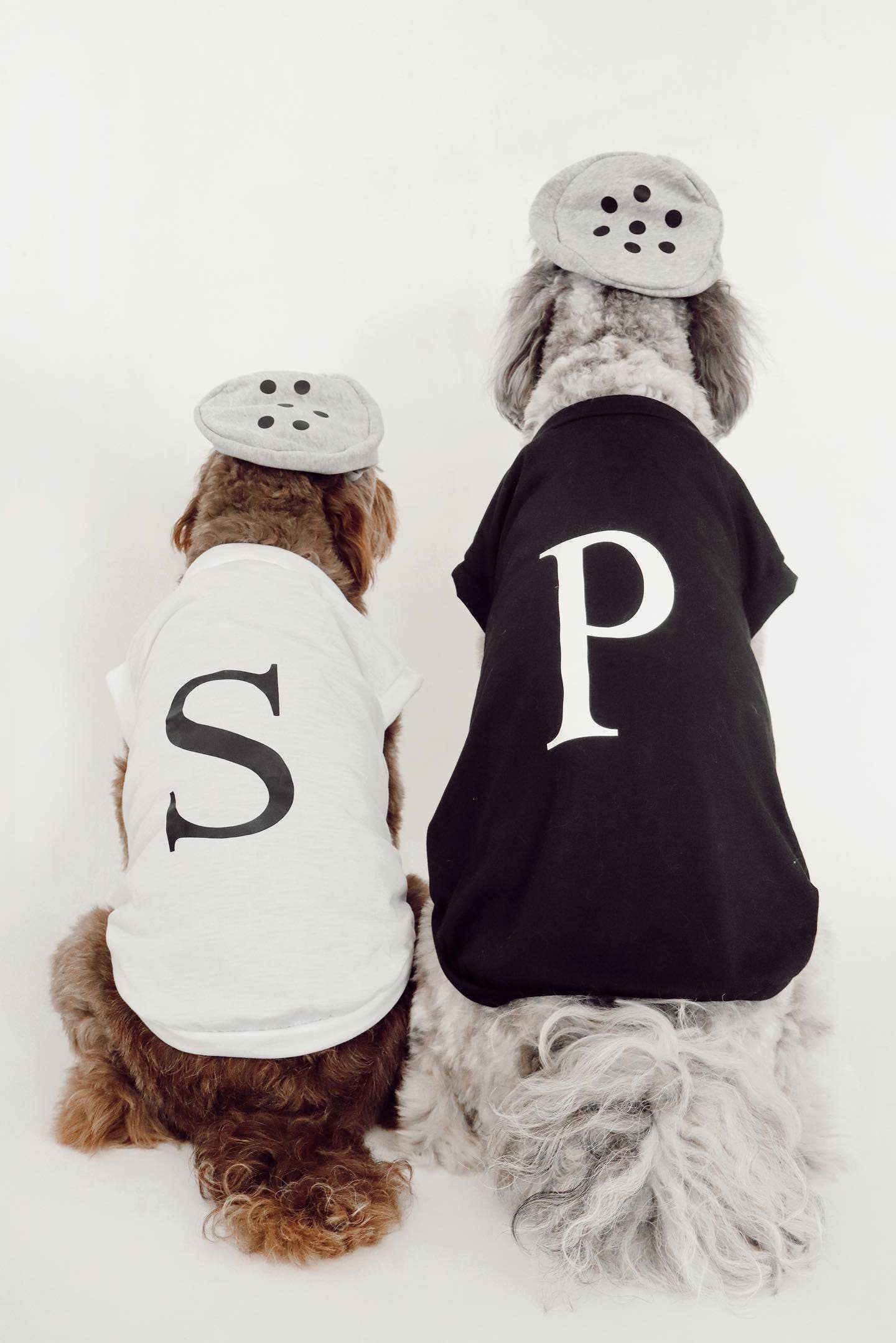 Midlee Designs - Midlee Salt & Pepper Dog Costume: Medium - 12" / Salt