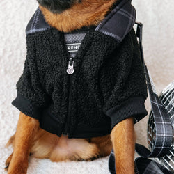 Frenchie - Frenchie Dog Hoodie - Black Plaid: L