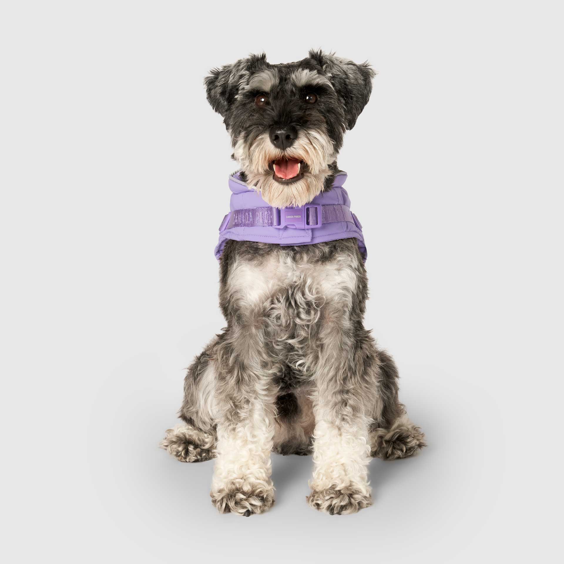 Canada Pooch - Harness Puffer- Dog Coat: Black / 10
