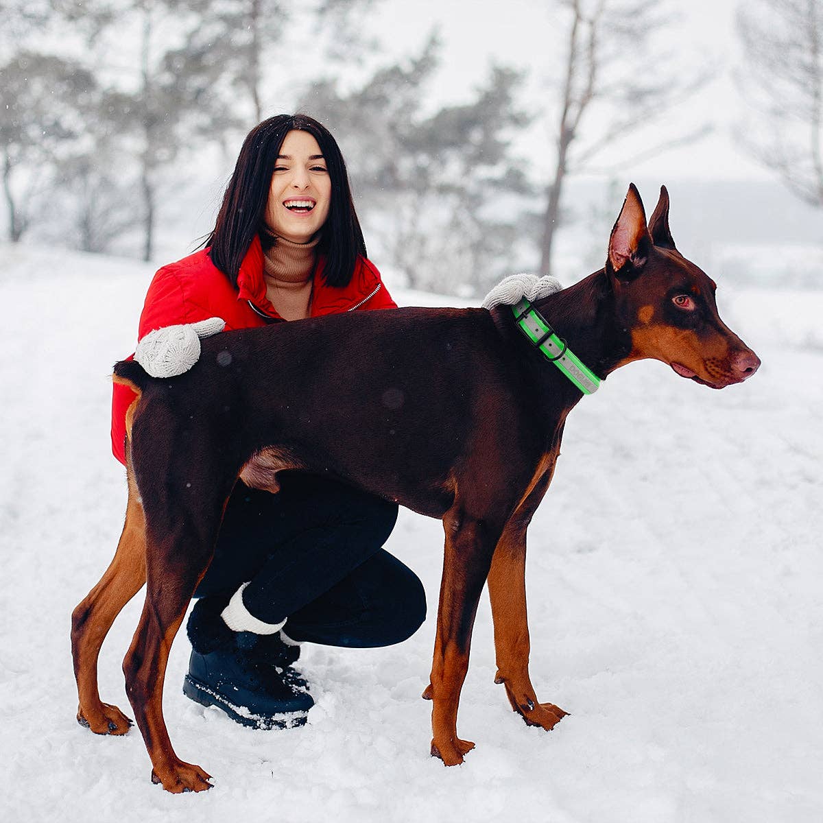 Dogline - Biothane Translucent Reflective Collar: Red / 15"-18" / 3/4"