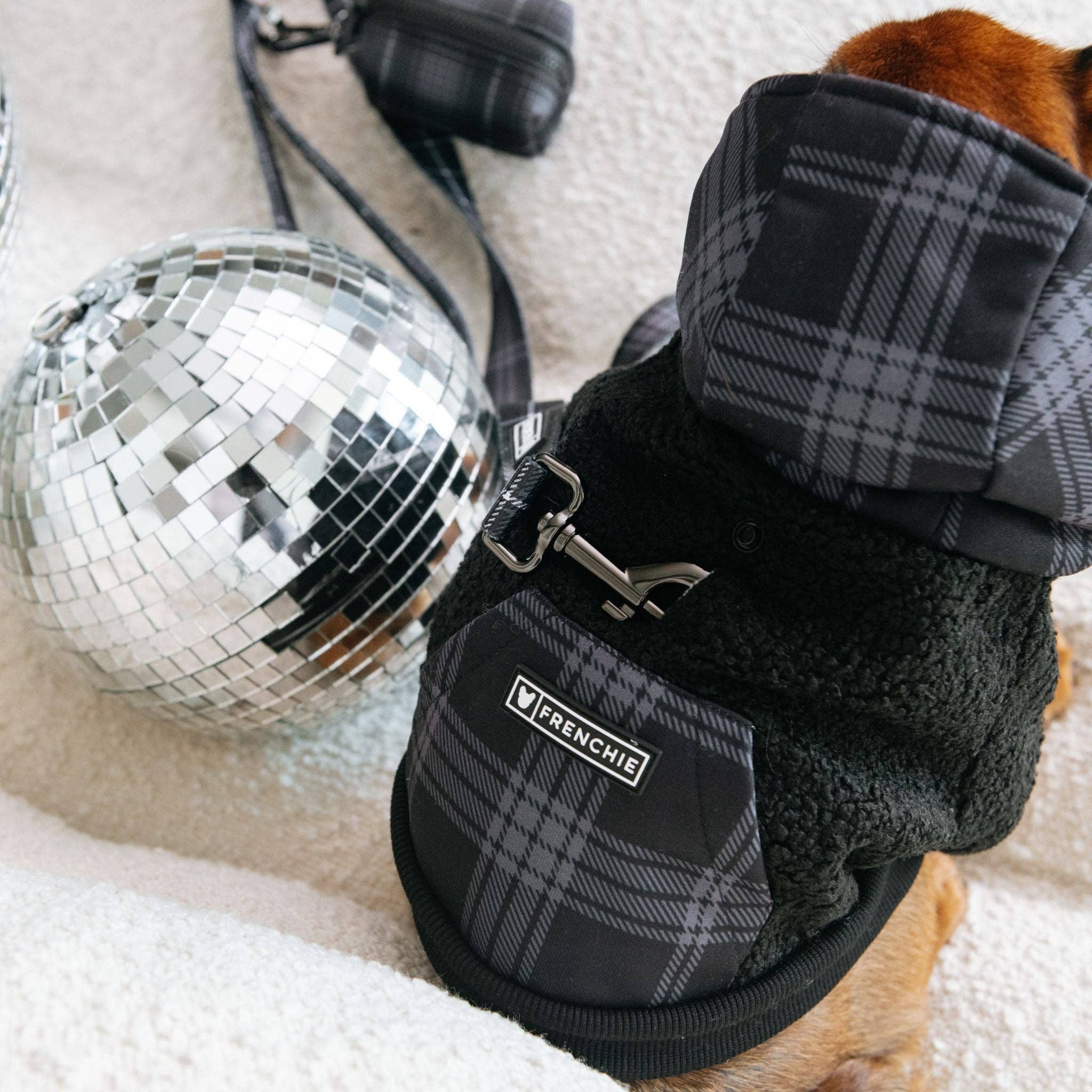 Frenchie - Frenchie Dog Hoodie - Black Plaid: L