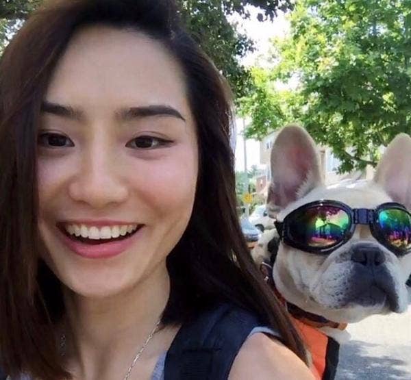 K9 Sport Sack - K9 Sport Shades - Dog Goggles: Clean White