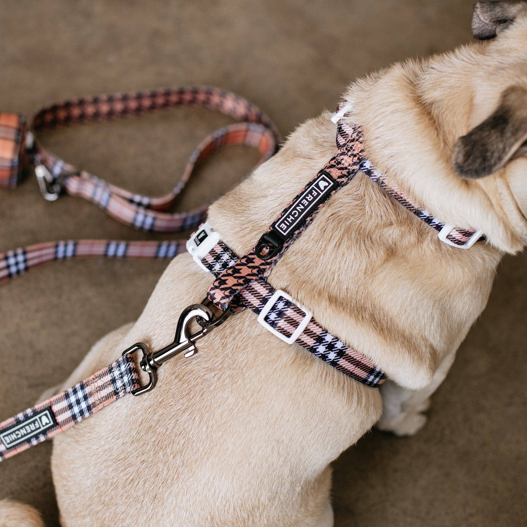 Frenchie - Frenchie Strap Harness - Tan Tartan: OS