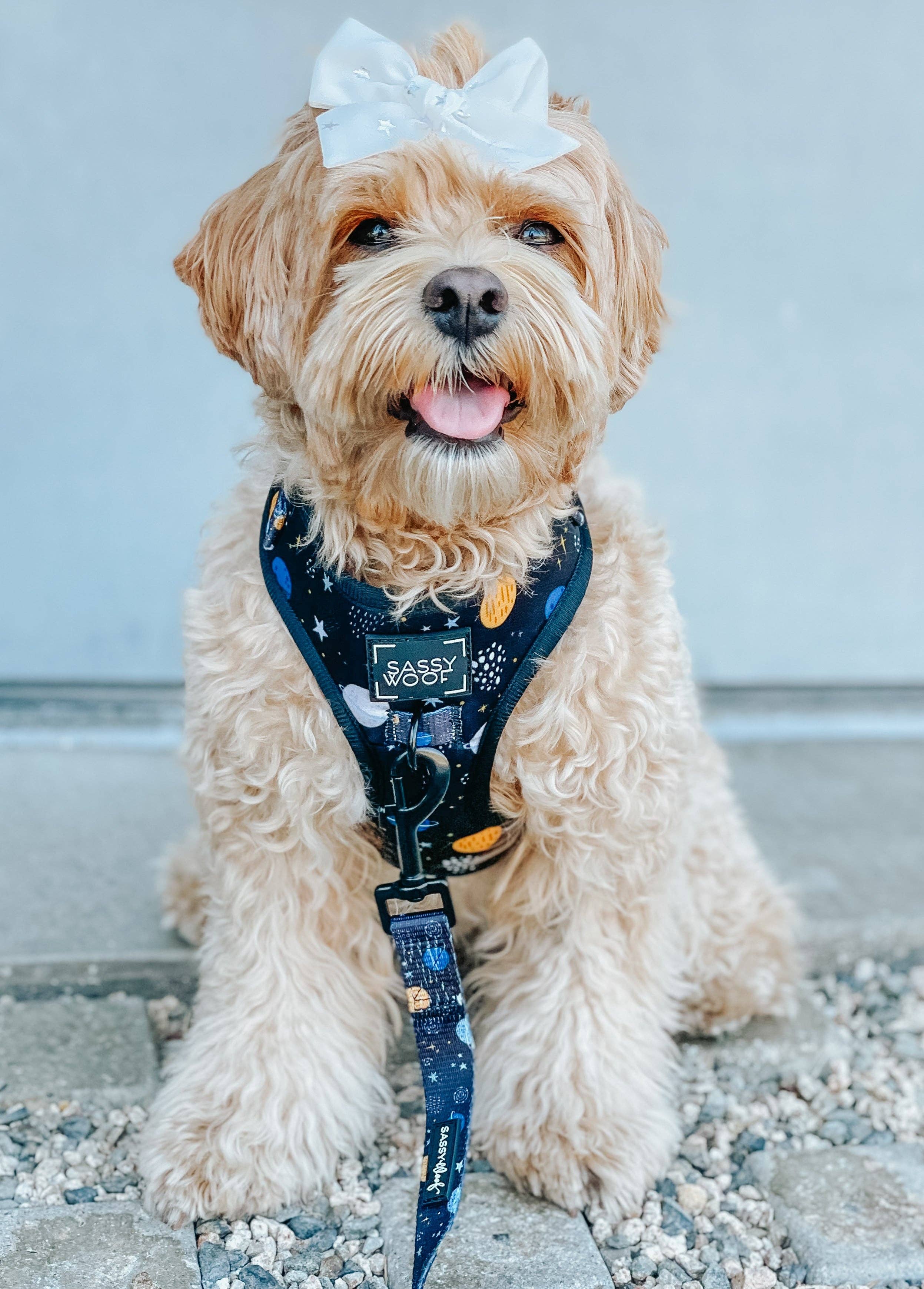SASSY WOOF - Dog Adjustable Harness - To the Stars and Beyond: Large