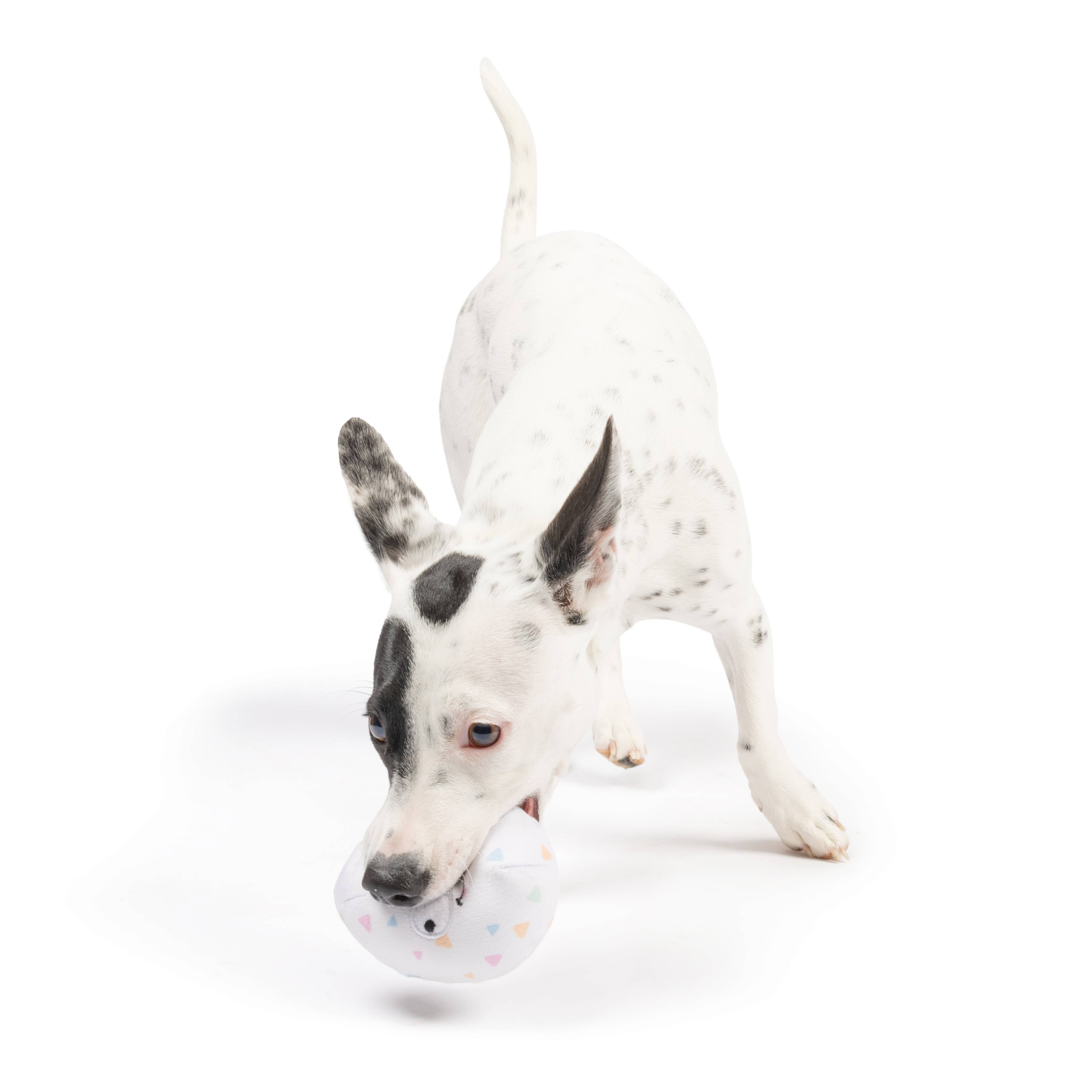 Huxley & Kent - Tiny Tuff Squeaky Eggs 2pk: One Size