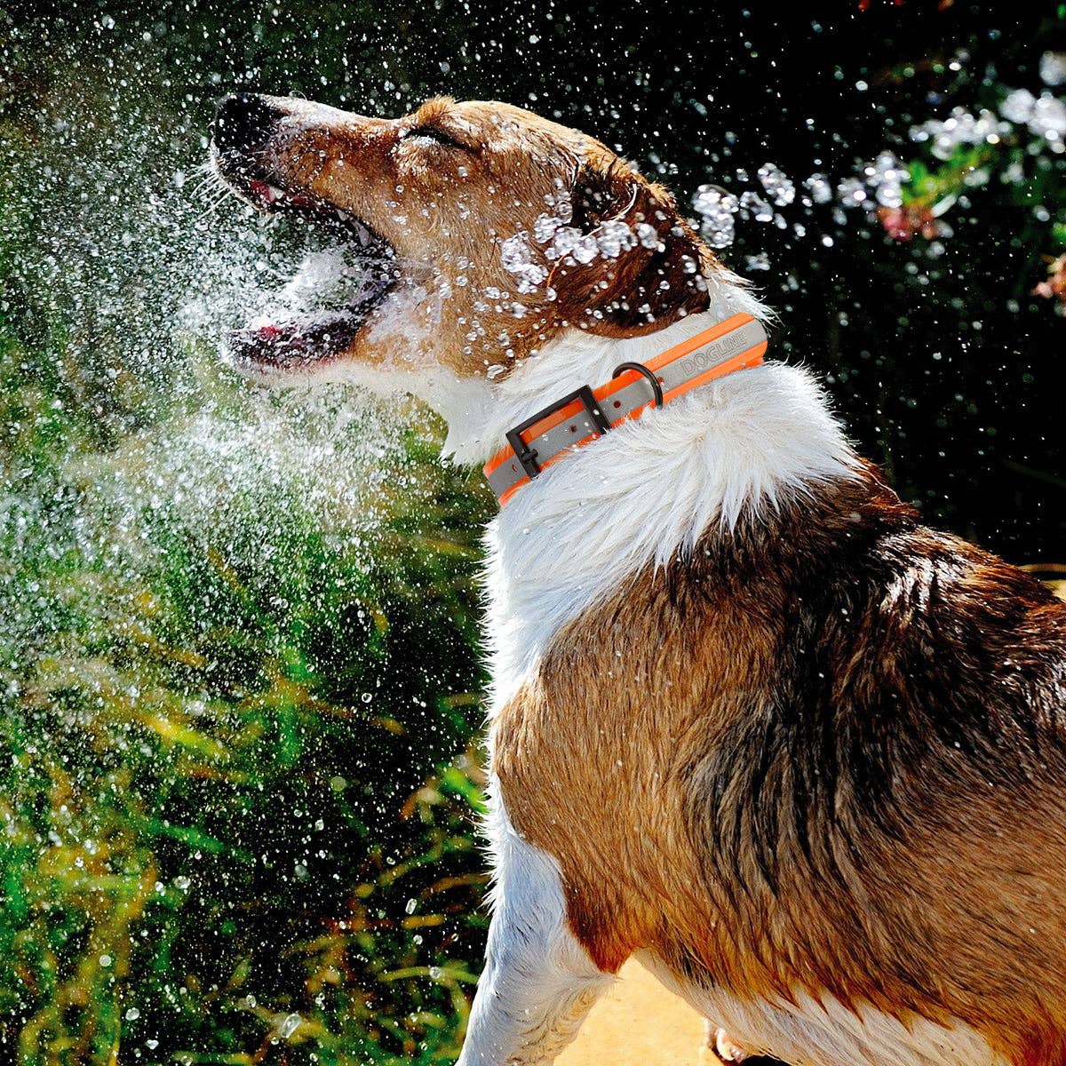 Dogline 18-22" - Biothane Translucent Reflective Collar: Orange / 18"-22" / 1"