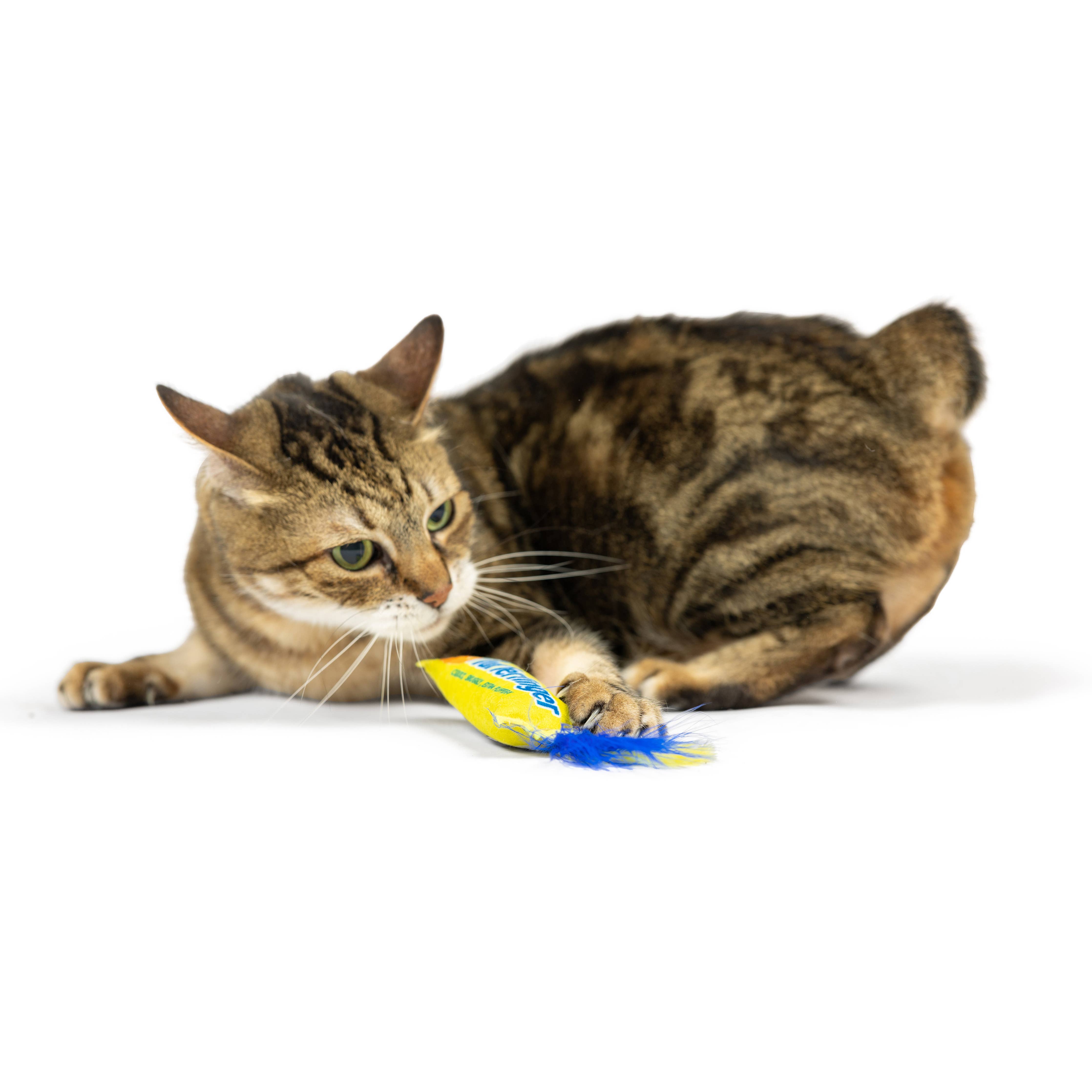 Huxley & Kent - Flufferfinger Cat Toy: One Size