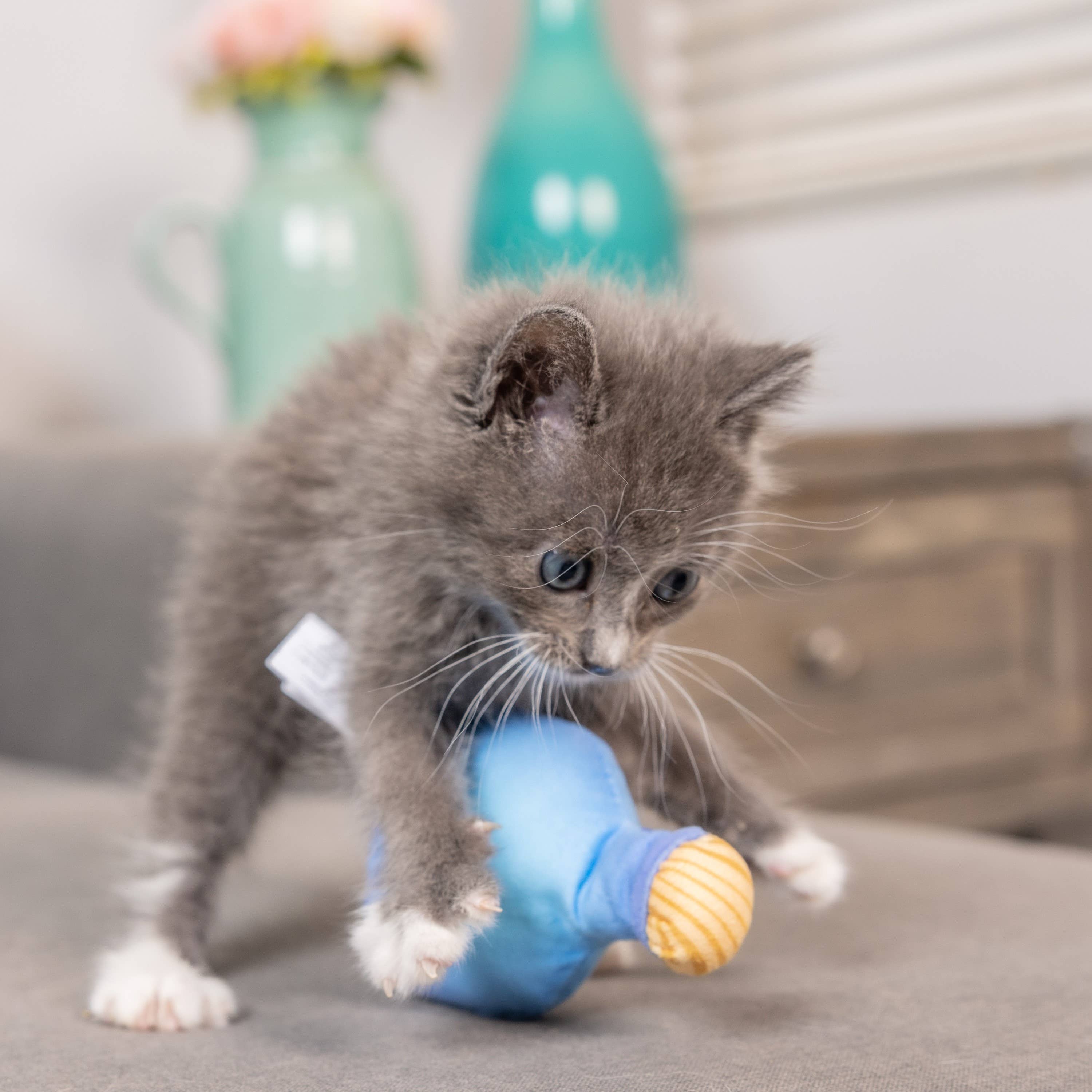 Huxley & Kent - Kitty Loco Tequila for Cats