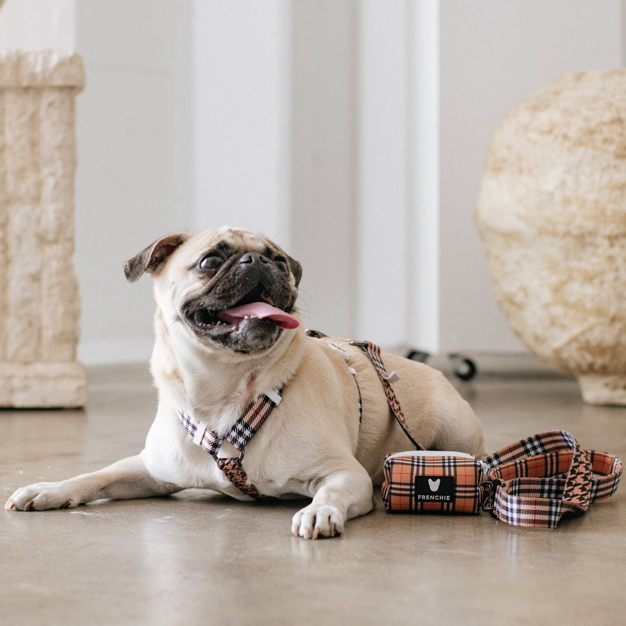 Frenchie - Frenchie Strap Harness - Tan Tartan: OS