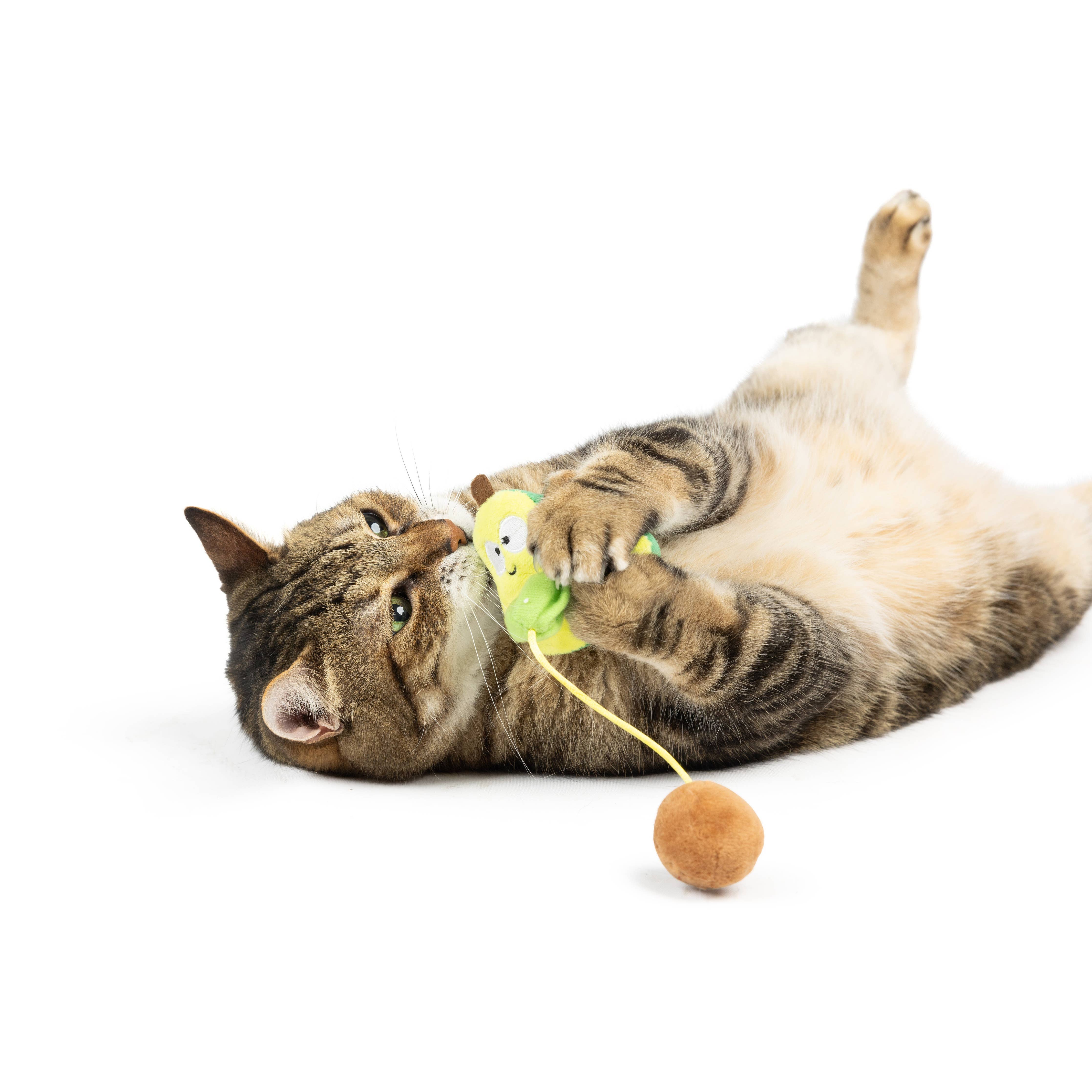 Huxley & Kent - Avocado Popper Cat Toy: One Size